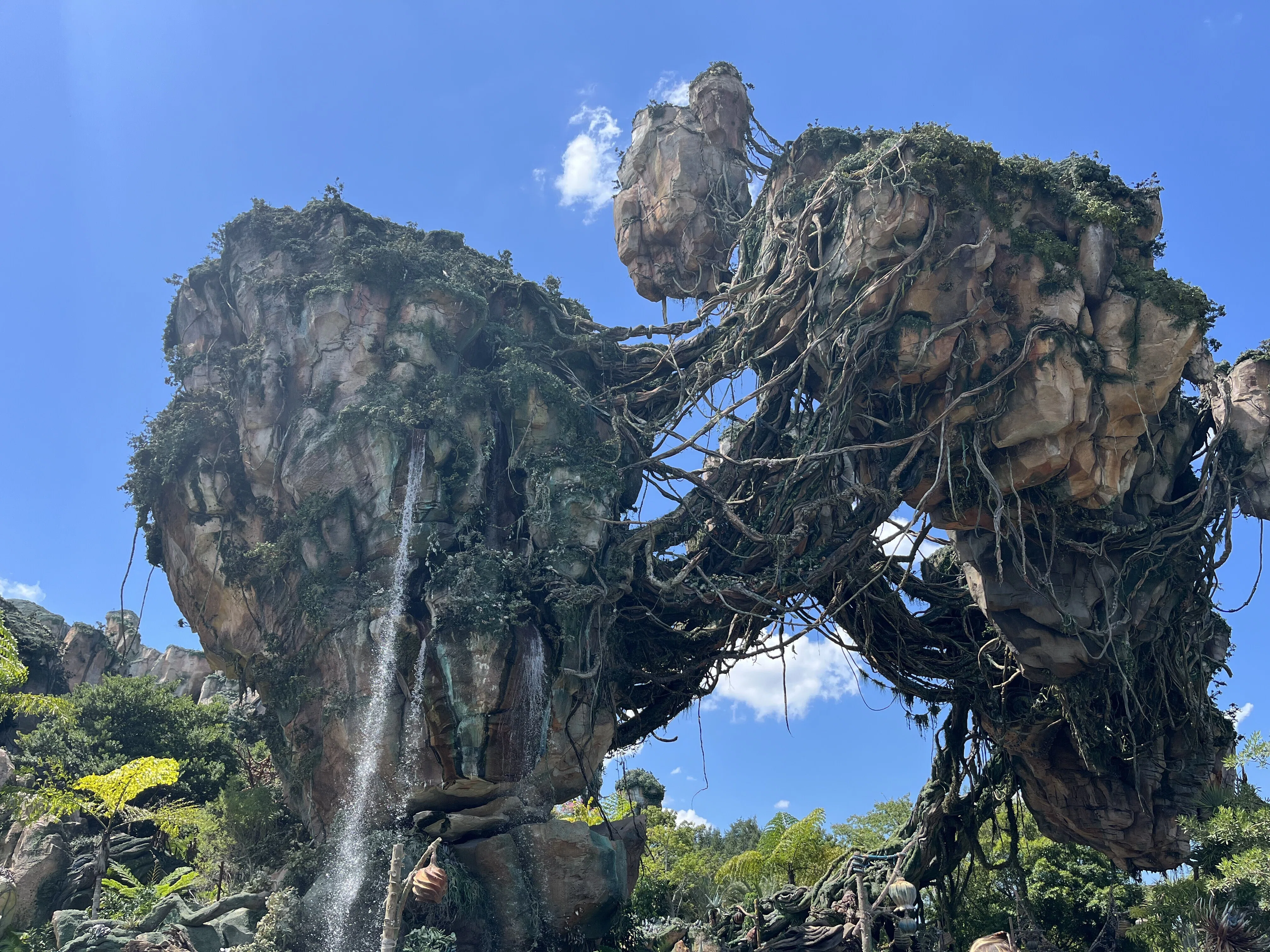 WDW(ディズニーワールド)初心者 旅行ブログ💫-アニマルキングダム編