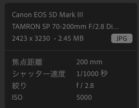 ハイアマチュアモデルの名機❗️Canon 5D Mark Ⅲ✨届いてすぐに使える EOS 5D Mark III - キヤノンカメラミュージアム