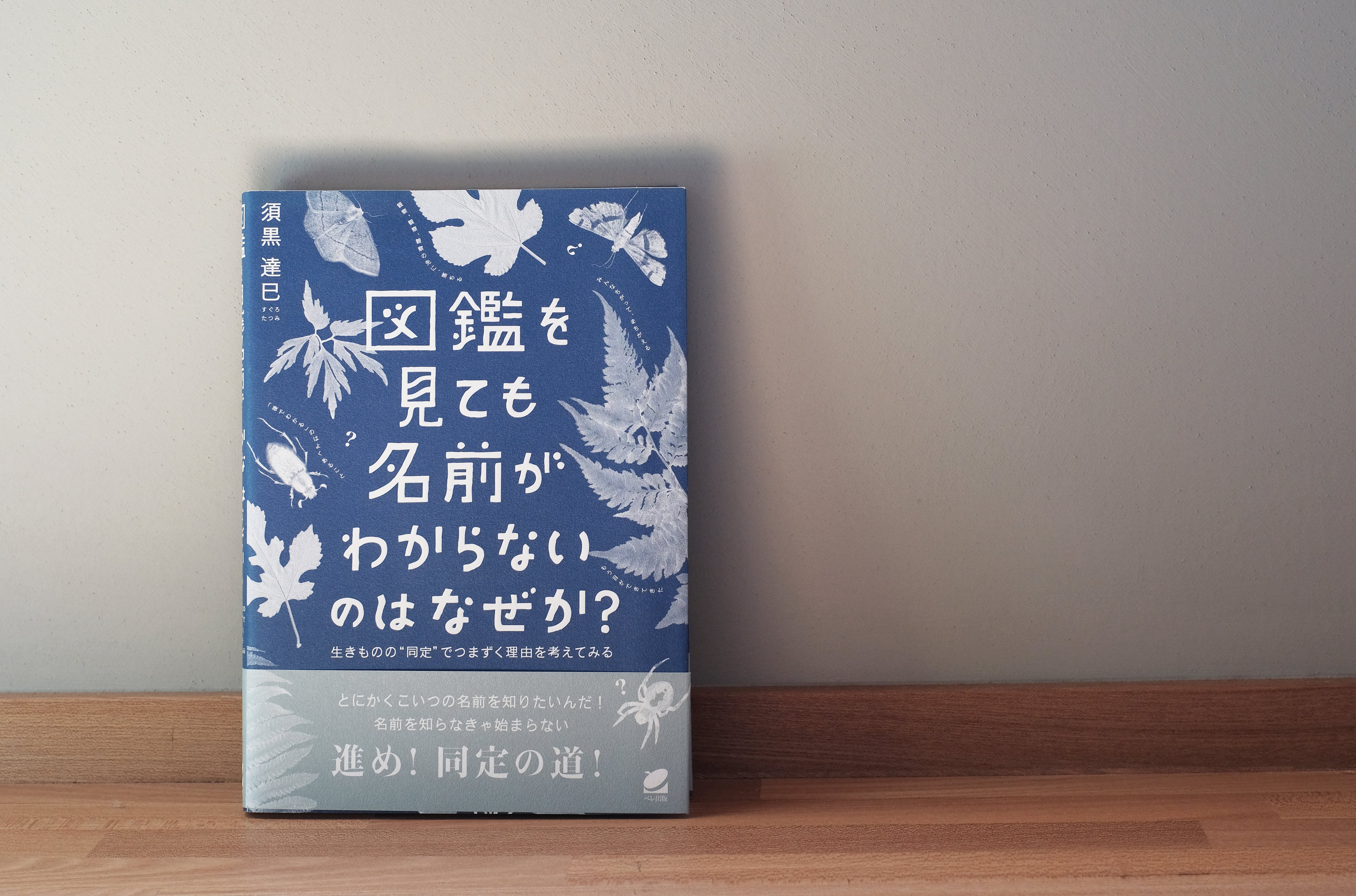 図鑑 全仮面ライダー パーフェクト大図鑑2024 増補改訂』（講談社）｜講談社