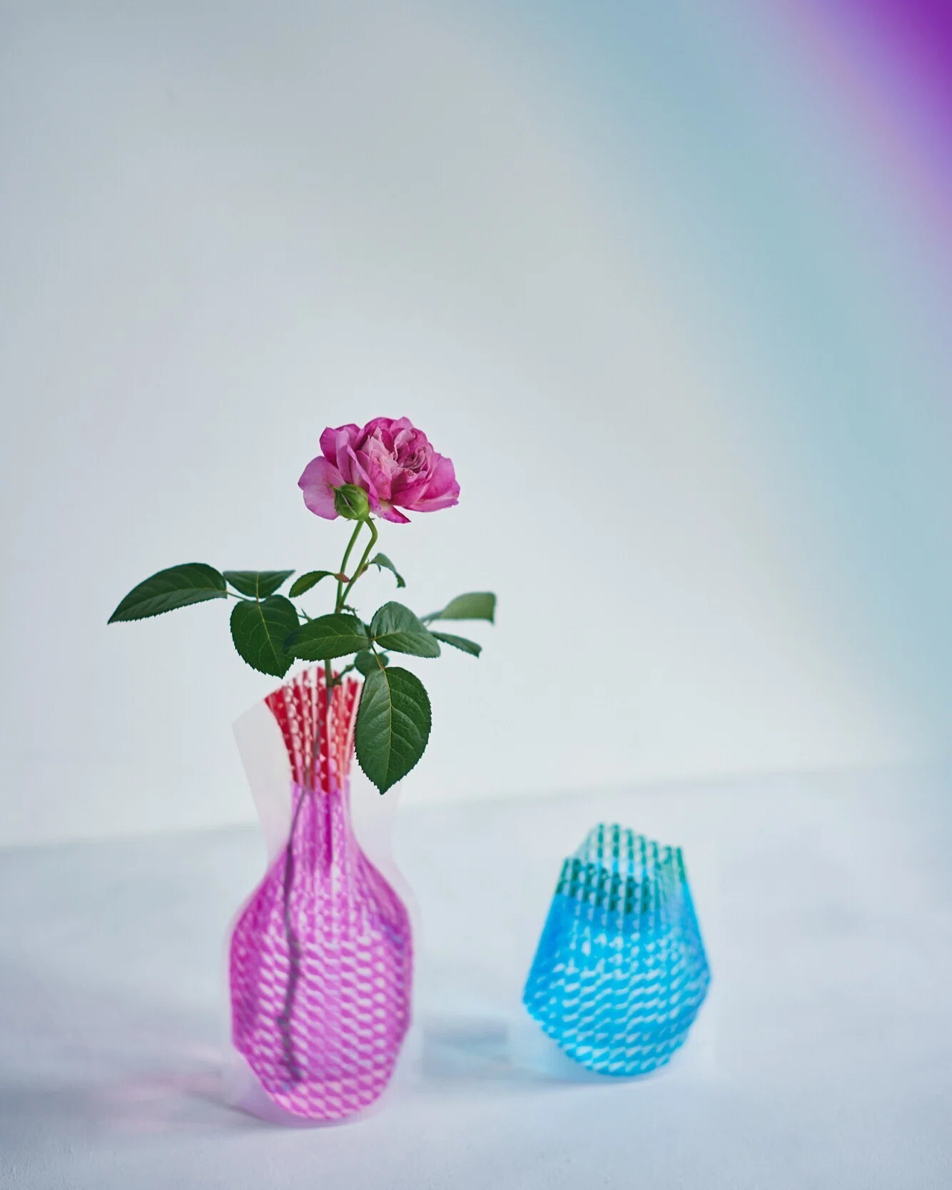The 'D-BROS' Flower Vase: Born from Vinyl and Clad in Light