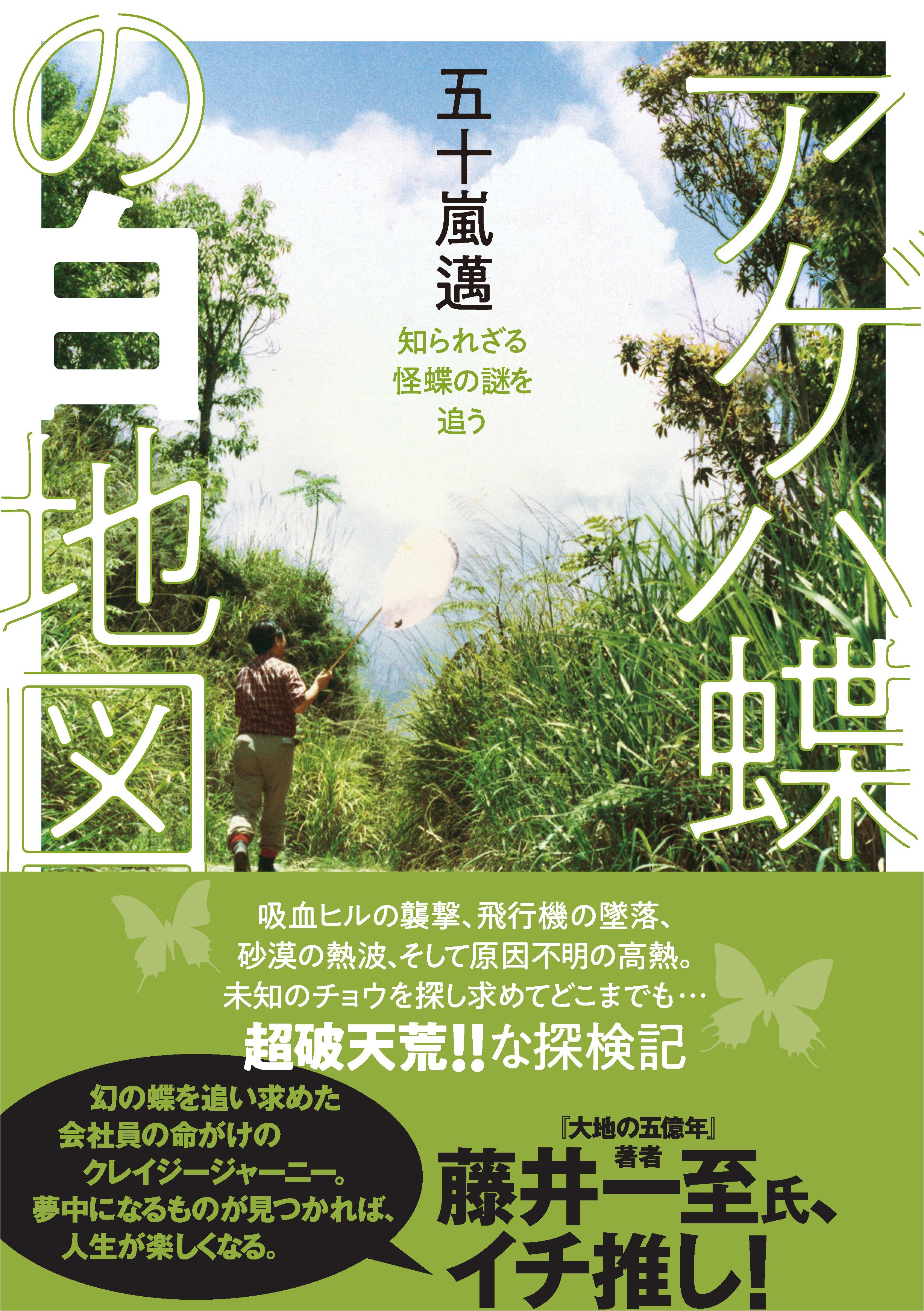 新刊のご案内【2025年10月発売】『ヤマケイ文庫 アゲハ蝶の白地図