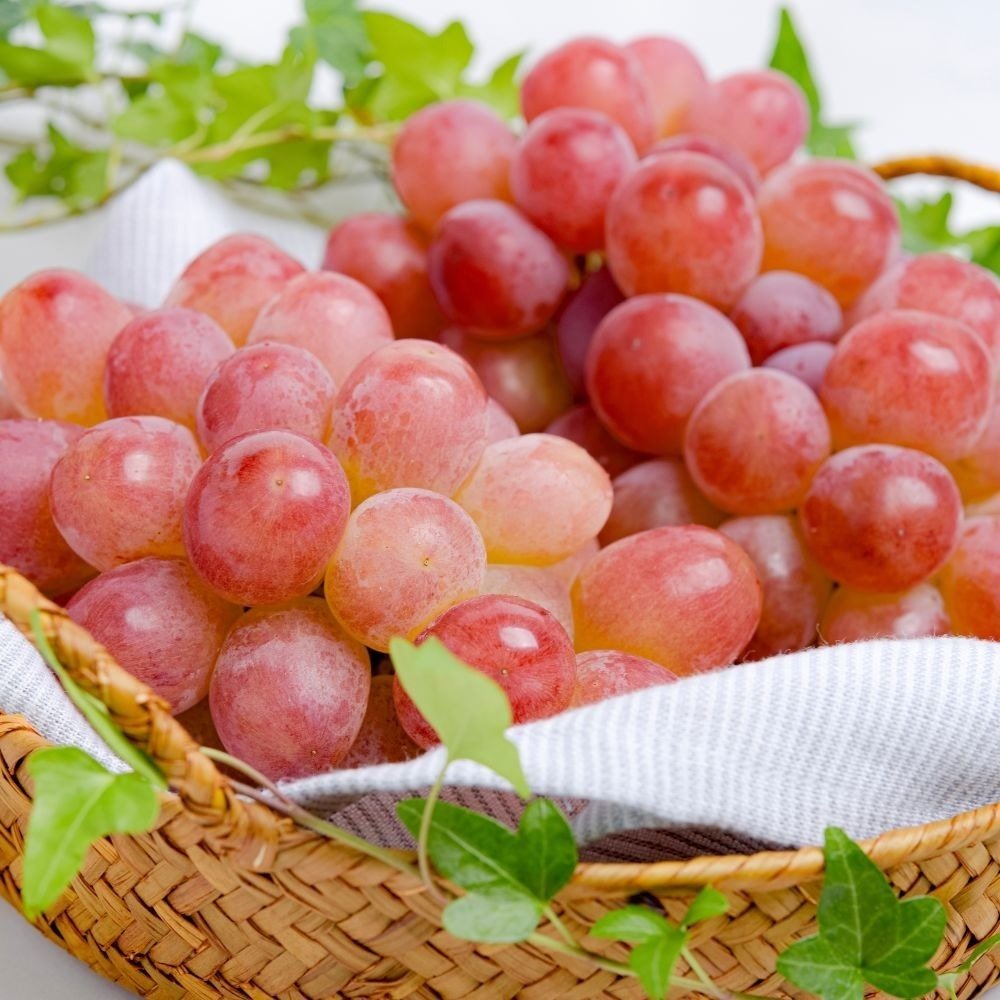 新品種を産直で】とれたて 長野県産クイーンルージュ(R)（日・株式会社