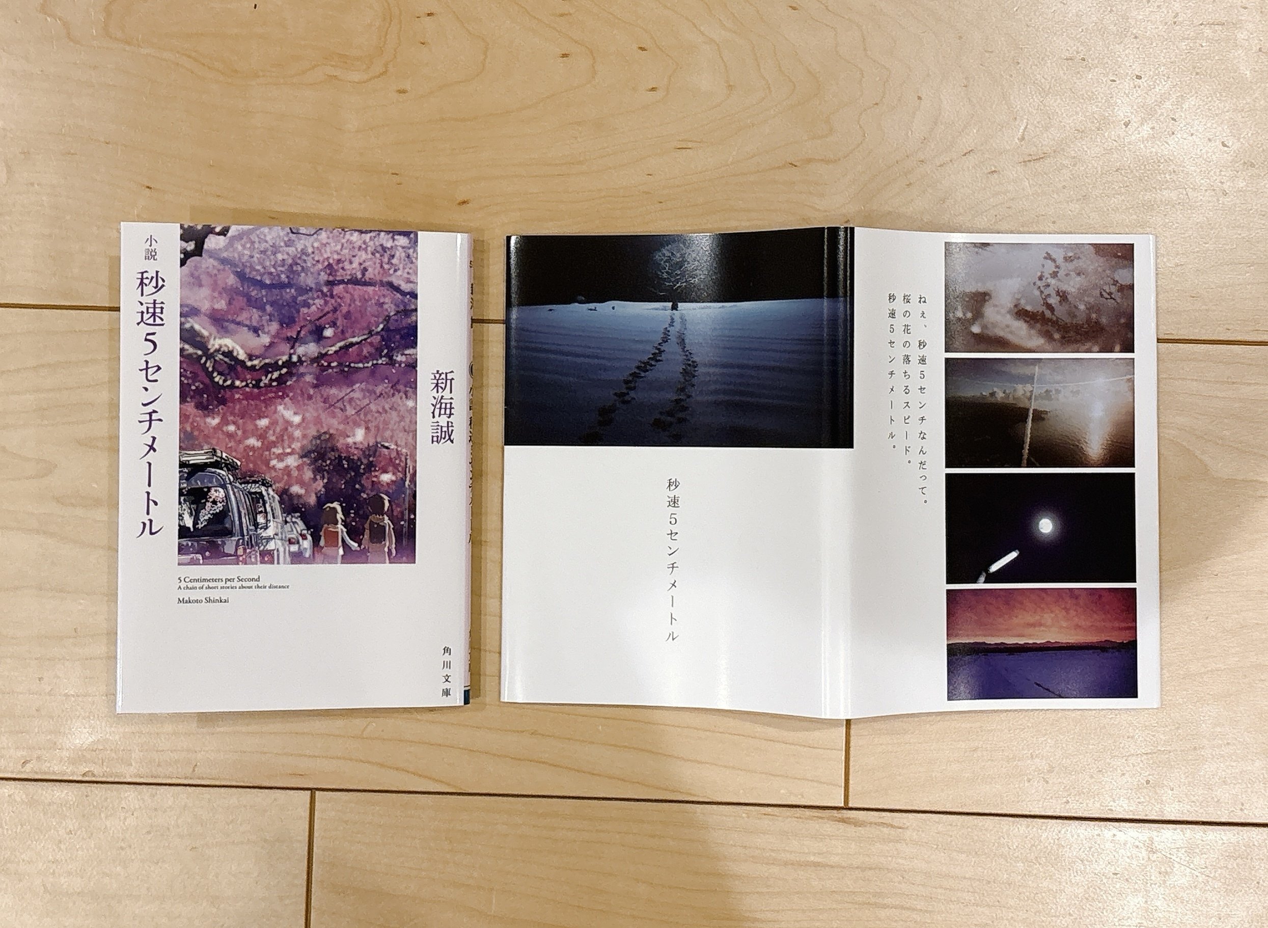 また秒速5センチメートルを買ってしまった｜桜田千尋