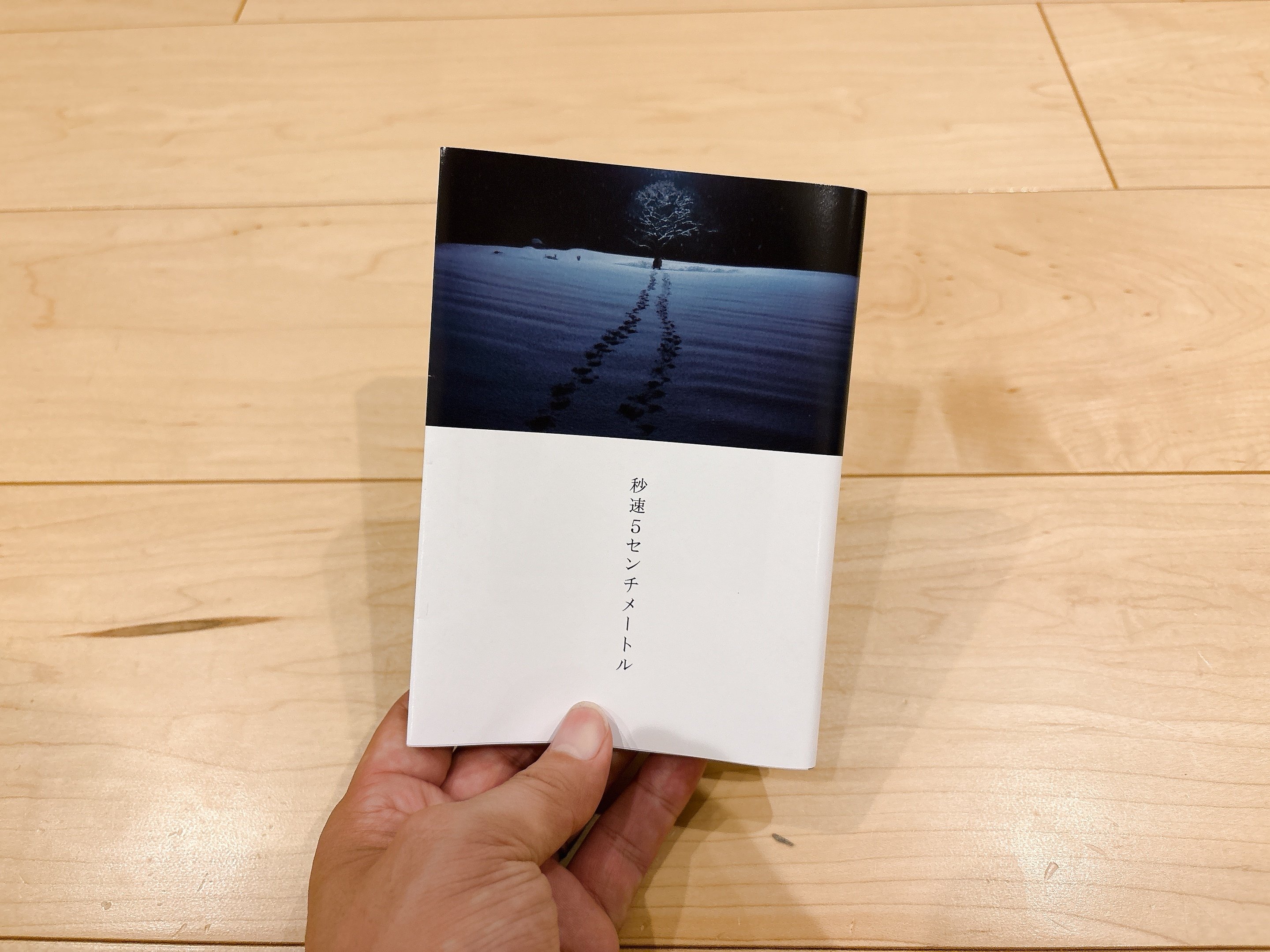 また秒速5センチメートルを買ってしまった｜桜田千尋