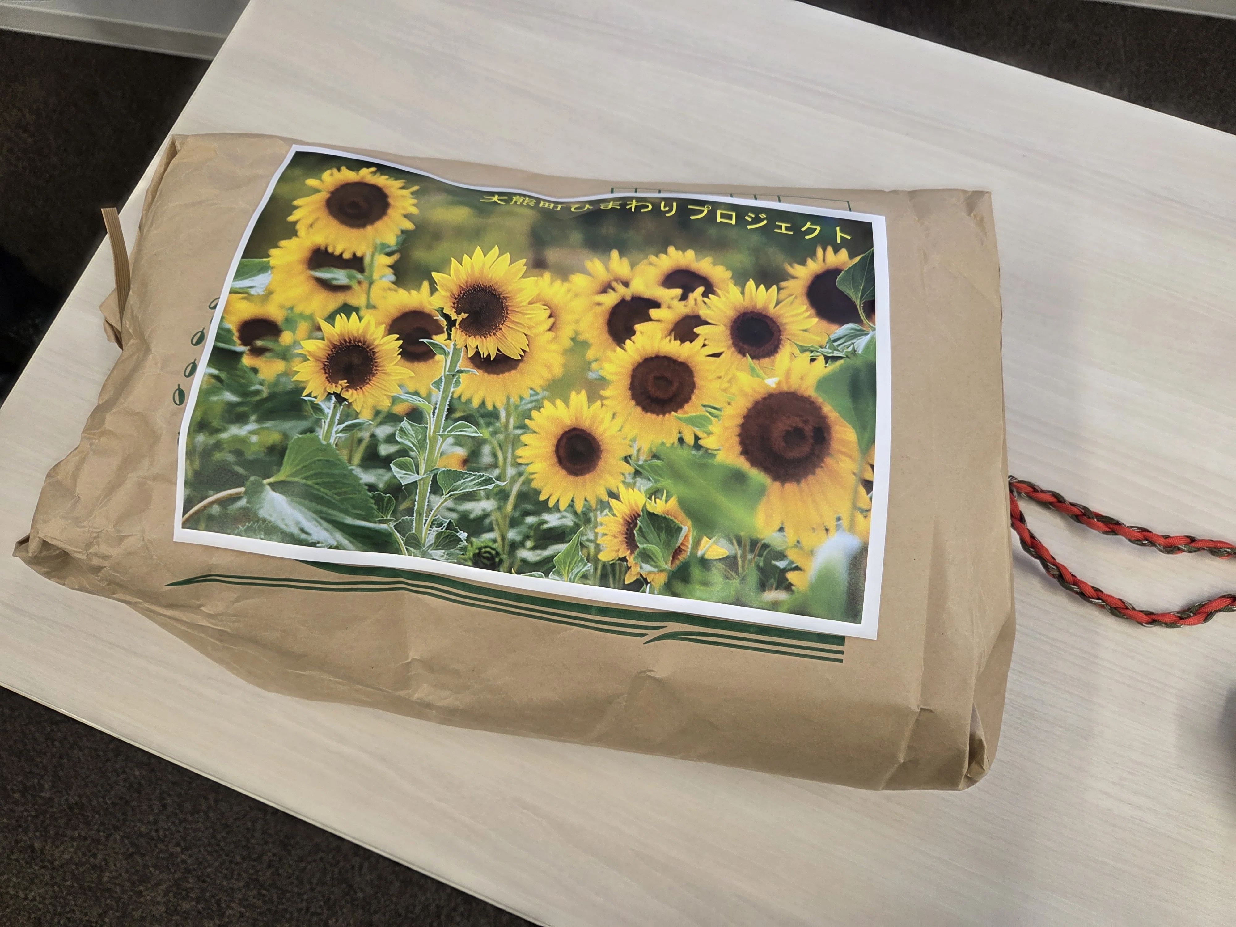 ひまわりの種を寄贈しました🌻｜佐藤亜紀(大熊町/Fukushima)