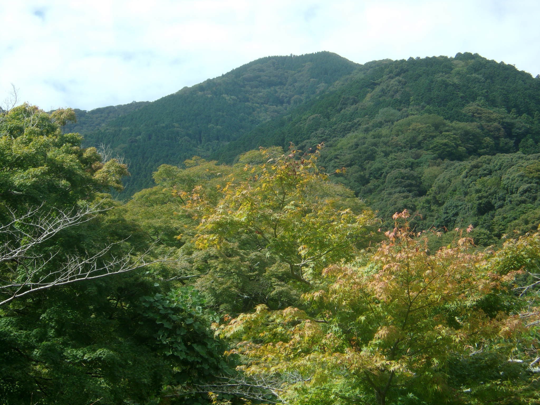 養老山アセビ平スカイテラスからの眺望 大垣の市街地から岐阜、一宮