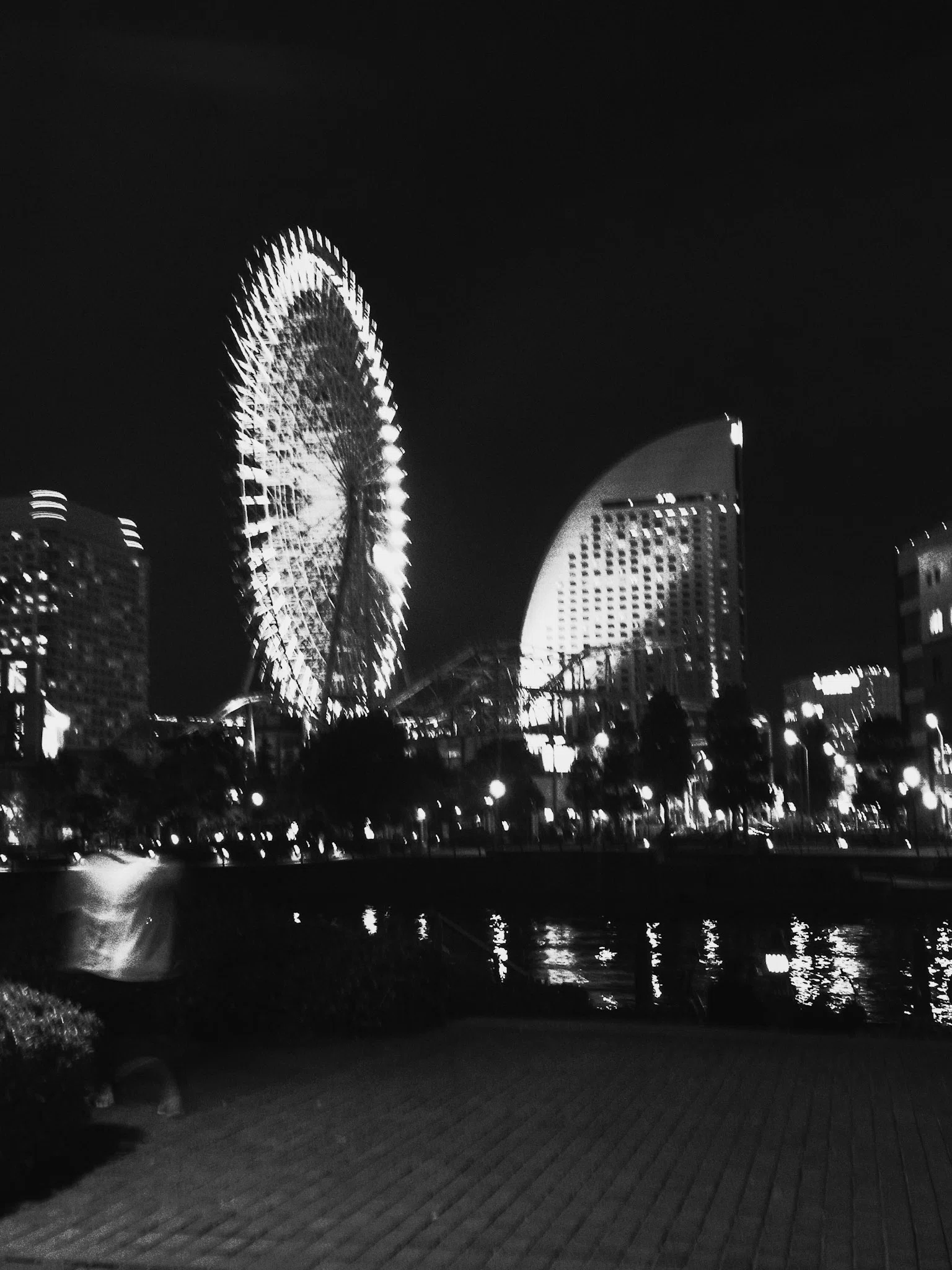 RICOH CX2というカメラの、ハイコントラスト白黒写真｜driftwood