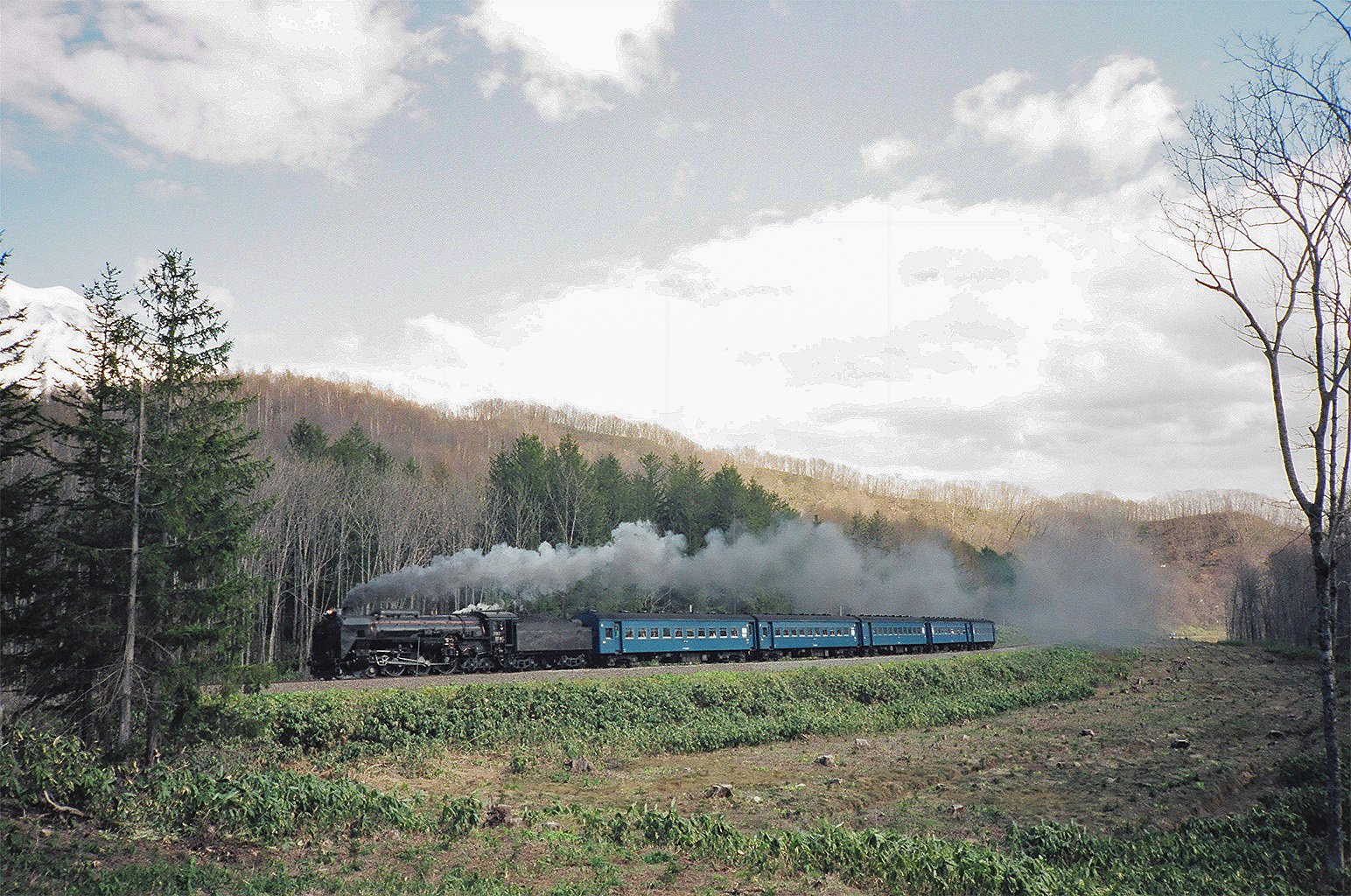 v105, 函館本線：C62ニセコ （1991年後編）｜ひろやん