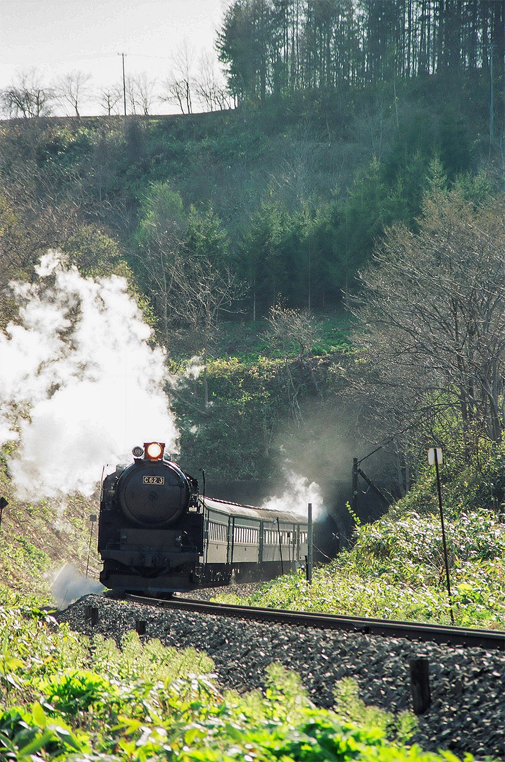 v105, 函館本線：C62ニセコ （1991年後編）｜ひろやん