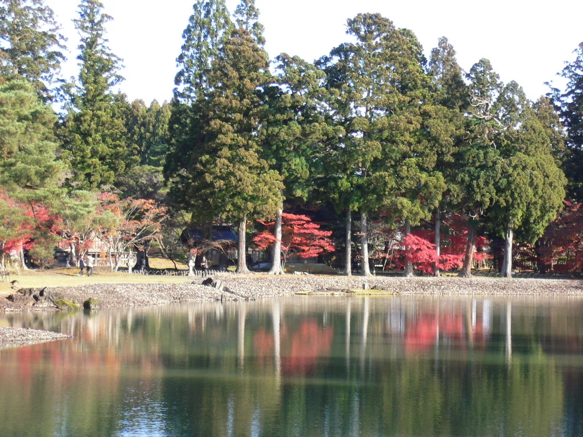 画像