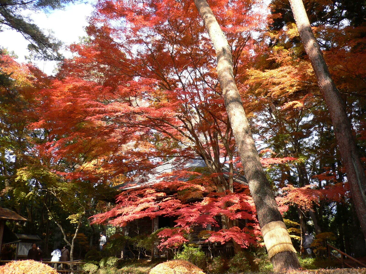 画像