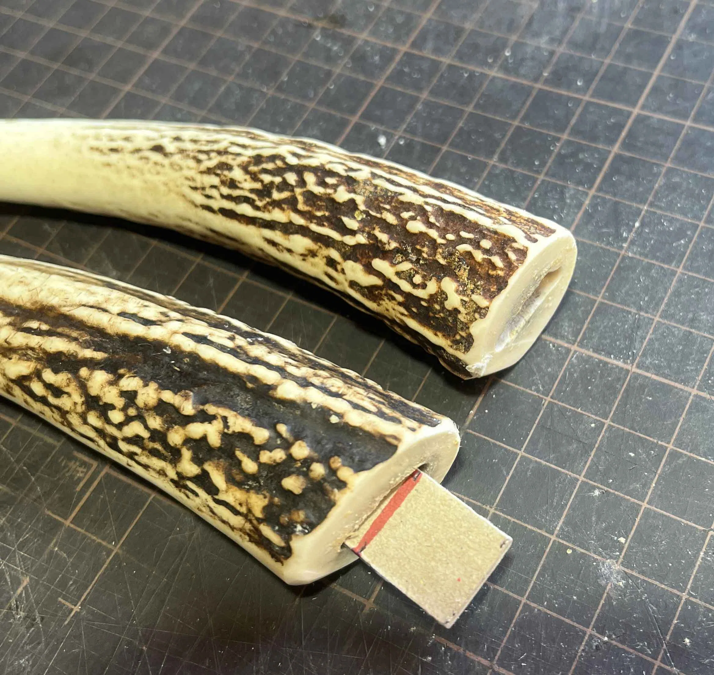 Antler Processing Request｜鹿角時計