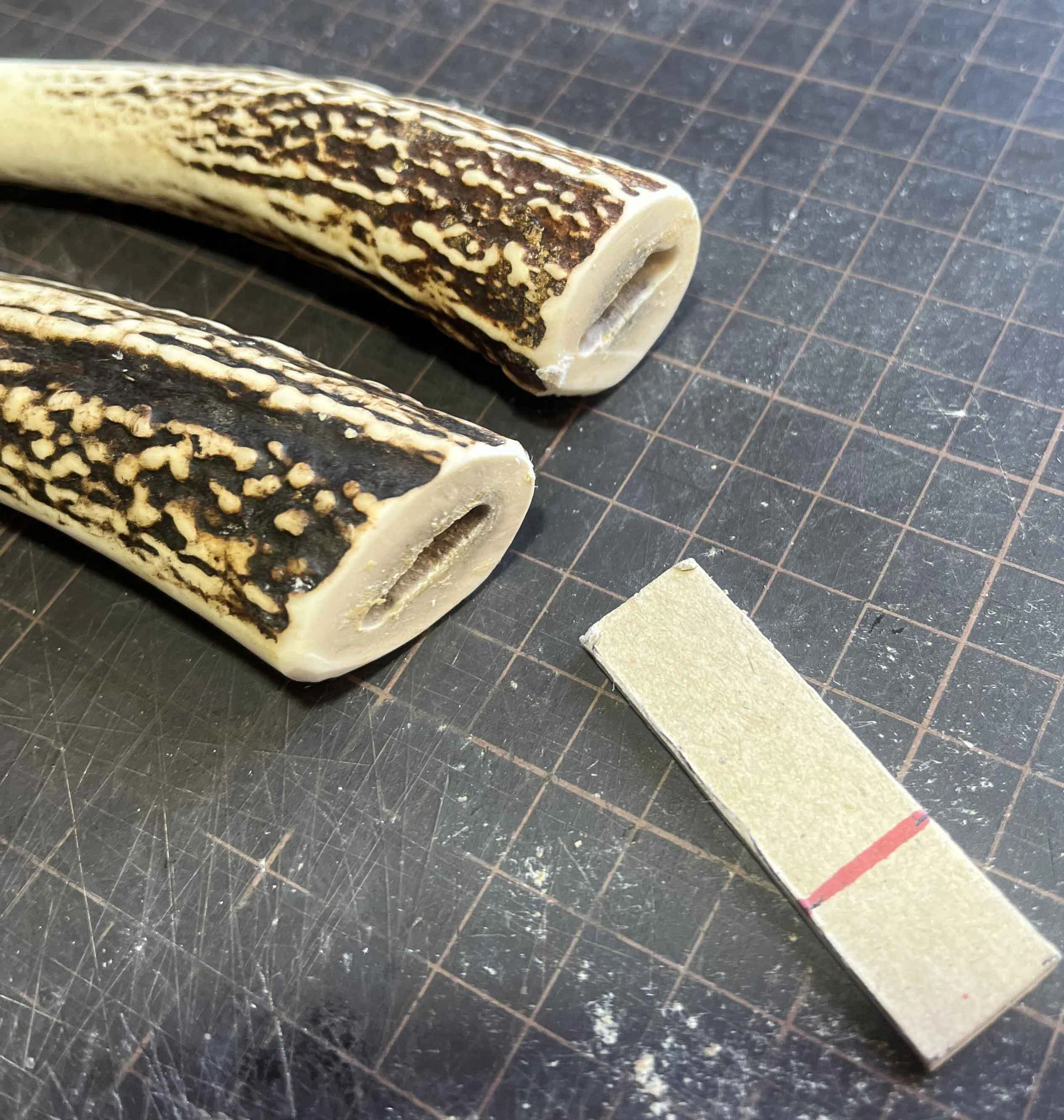 Antler Processing Request｜鹿角時計
