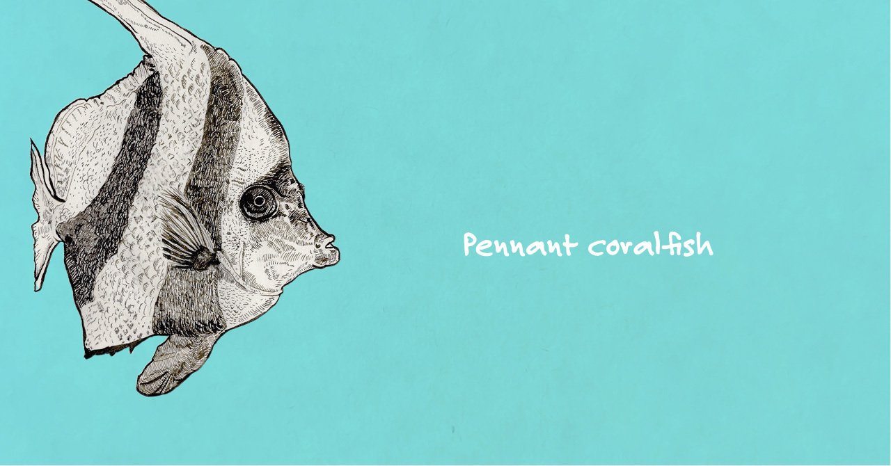 絶景！オーシャンビューの新江ノ島水族館｜津幹 みむ＊動物たちを描く人