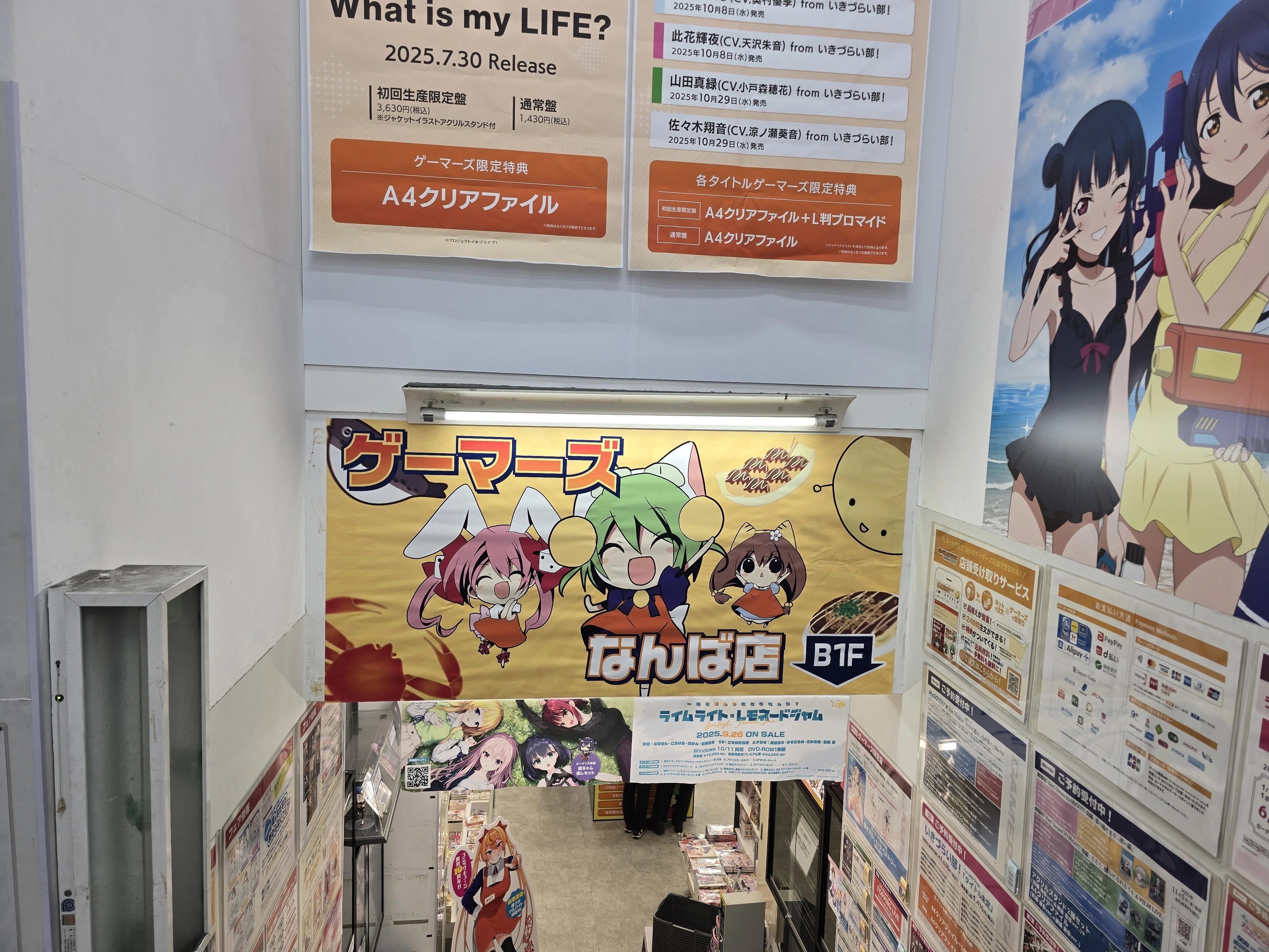 ミズダコちゃんには逃げられっぱなしな件【始めての書店でイロイロ