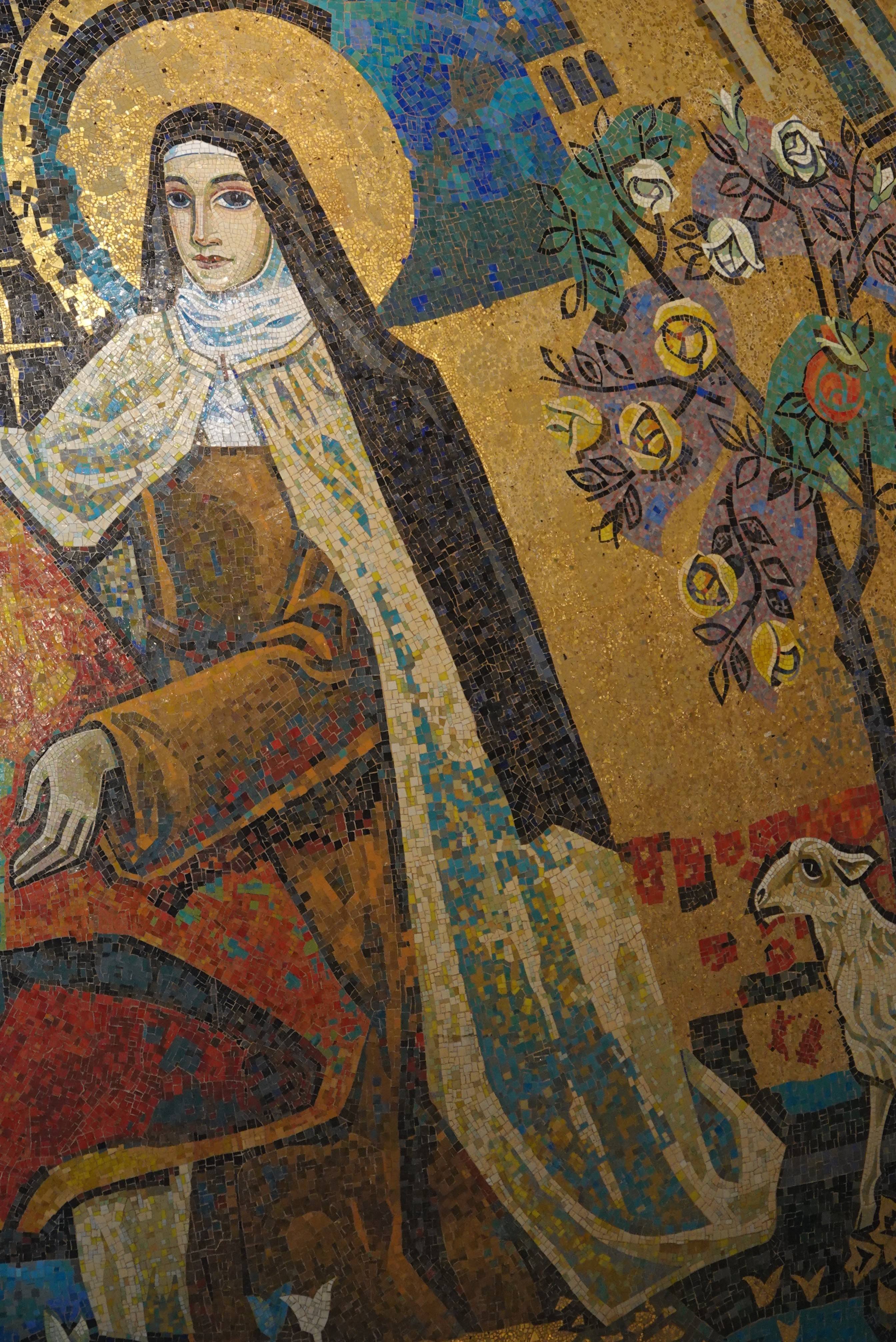 天から薔薇の雨を降らせましょう！｜J plus S