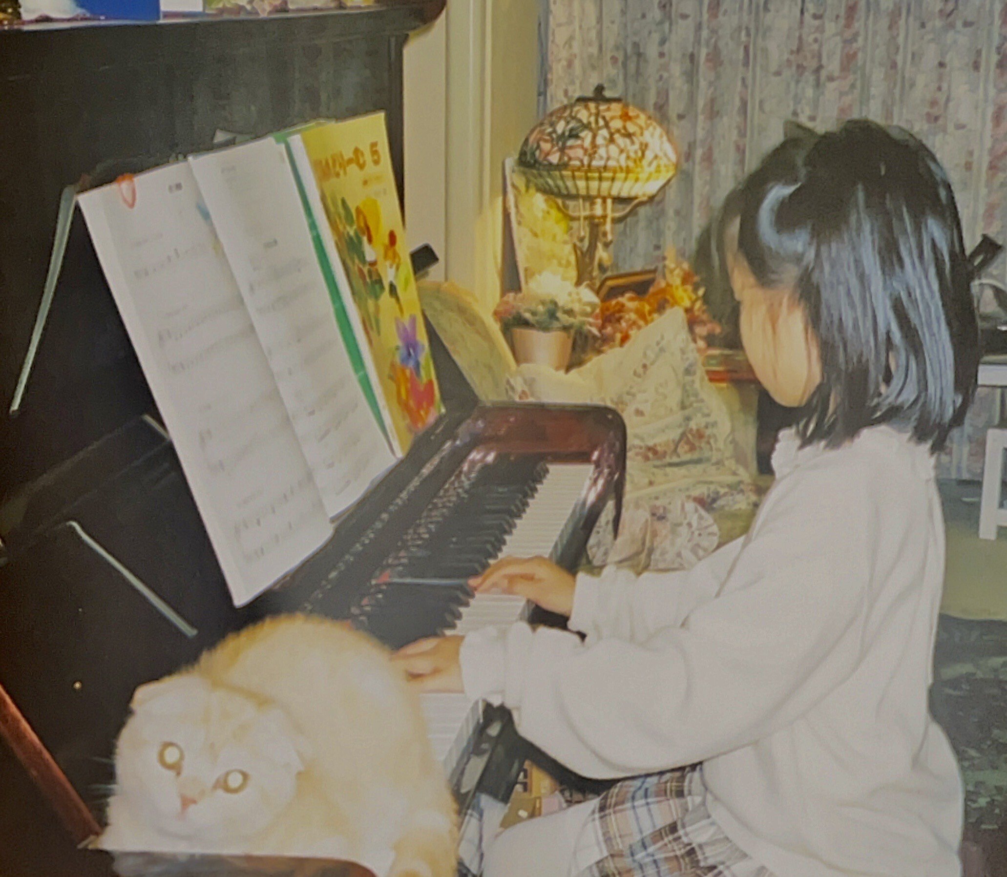 集まれ！猫好きさん―俳優・菅井友香―｜ヤマト運輸公式note