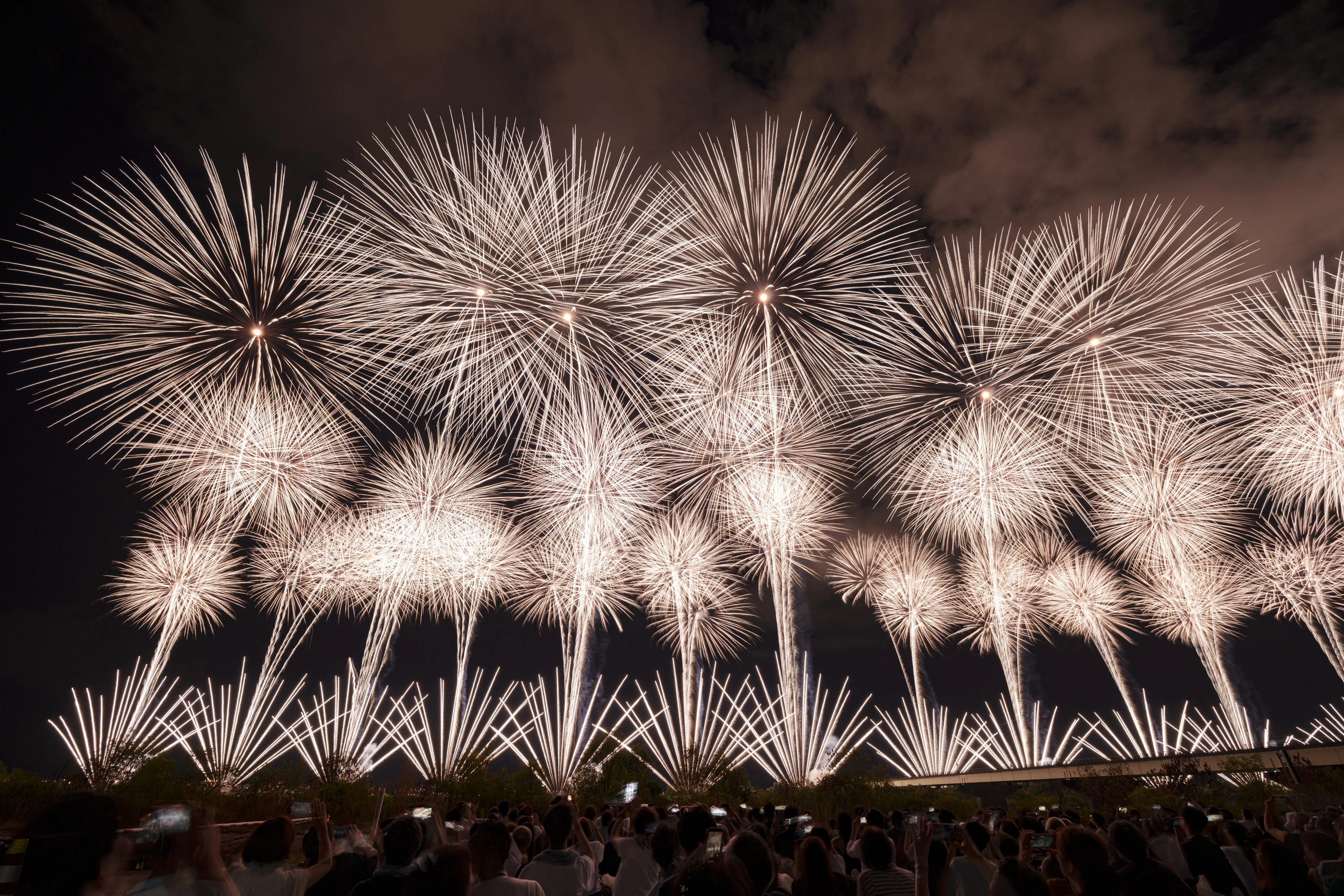 撮影機材や設定も公開！ 花火に阿波おどりにスポーツに。プロ