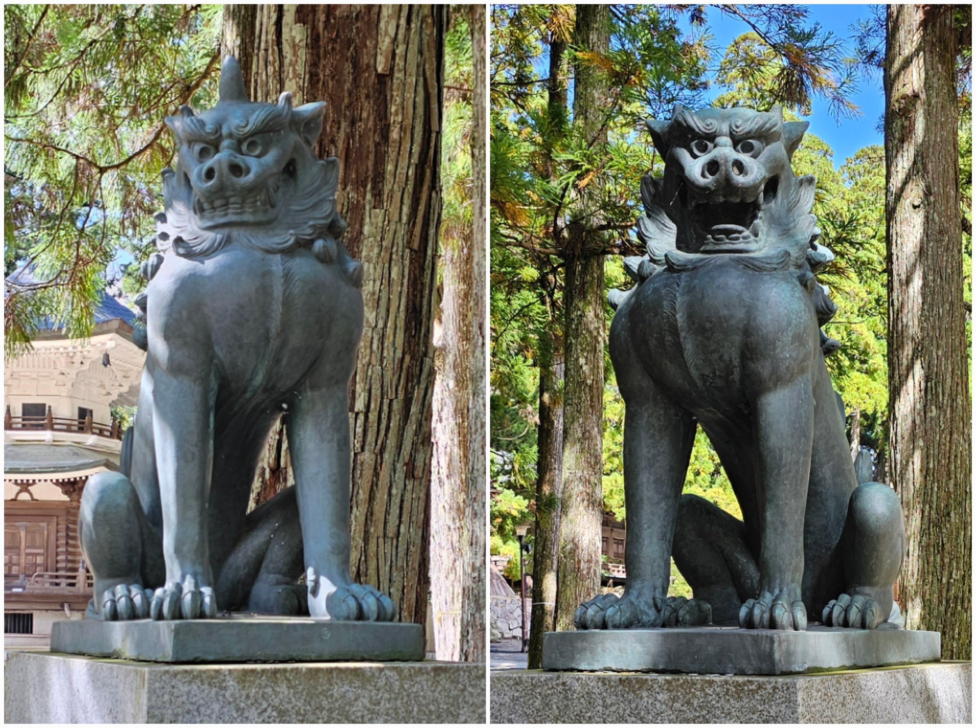 社寺散歩｜高野山金剛峯寺｜和歌山｜空海が築いたアミューズメント