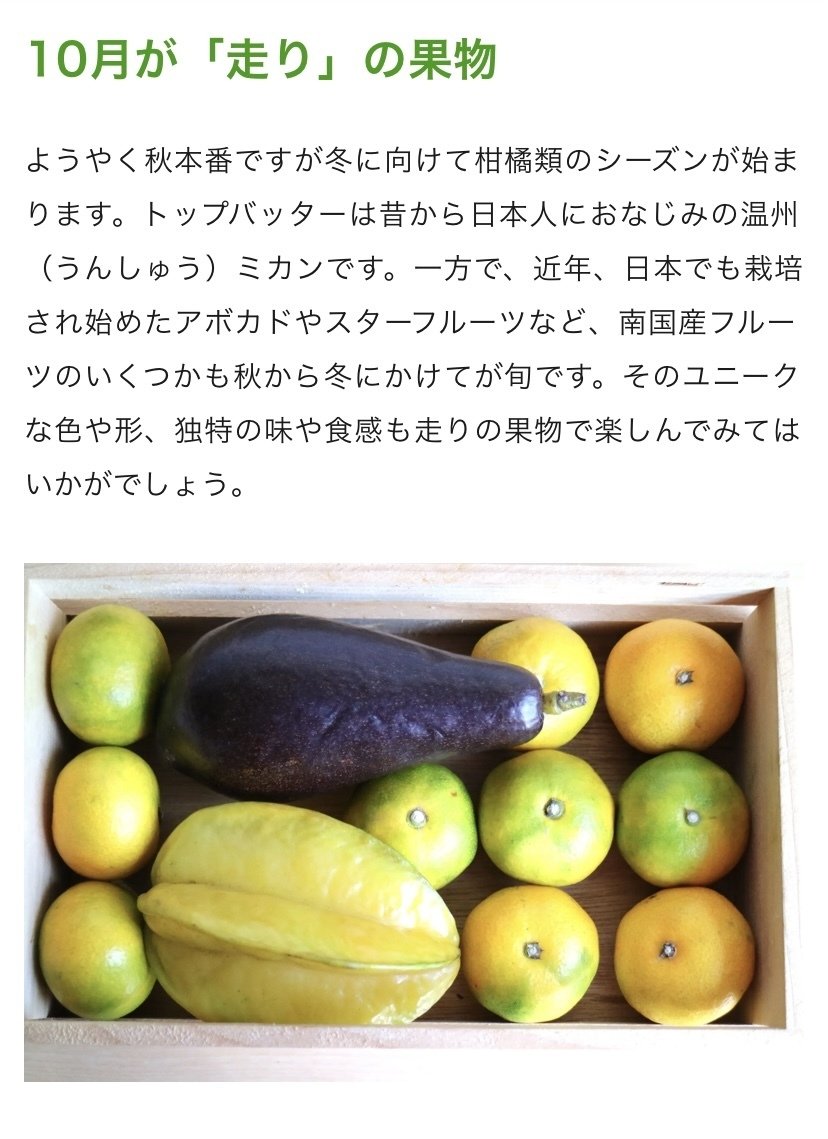 10月旬の果物🍎｜まっちゃん