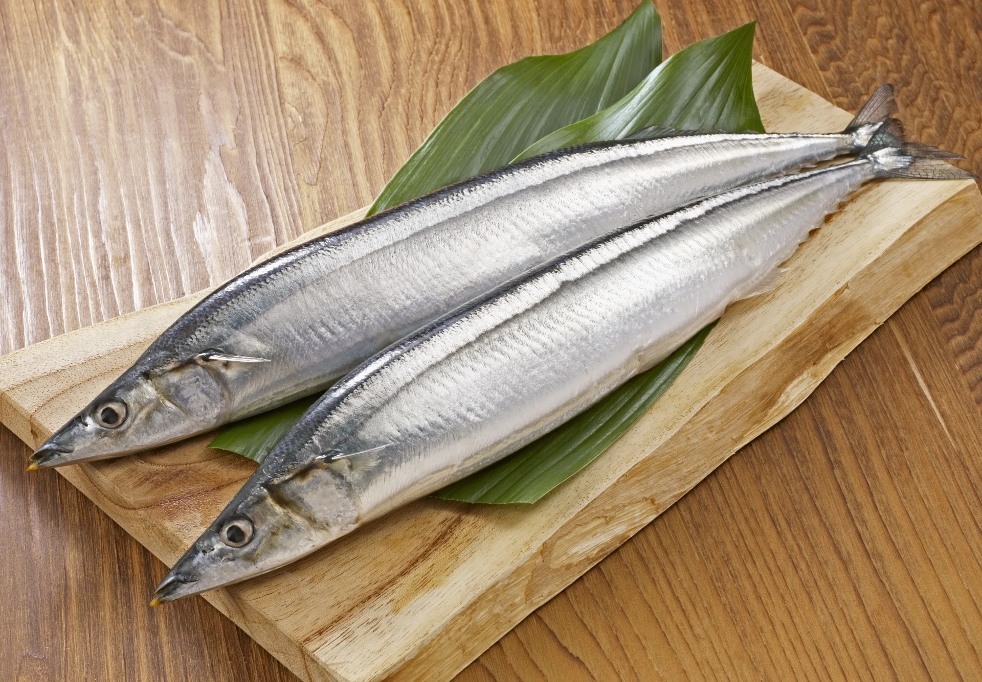 秋刀魚 おかえり、秋の味覚の王様！2025年、なぜ今年は秋刀魚が豊漁？栄養満点