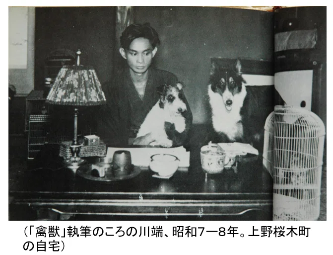 川端康成の人と作品|『四国作家』文学サロン