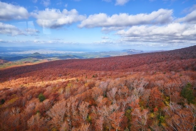 青森・八甲田山の紅葉見頃はいつ？360度の絶景を楽しむ秋の旅ガイド