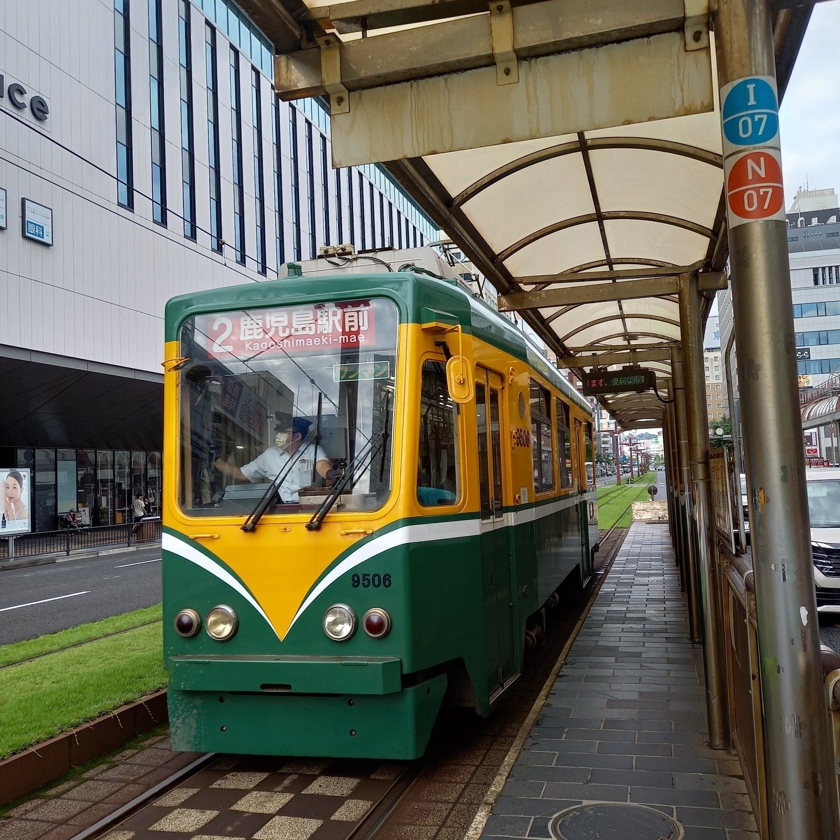 鹿児島 桜島の主役は猫だった ｜ねこのちゃわん
