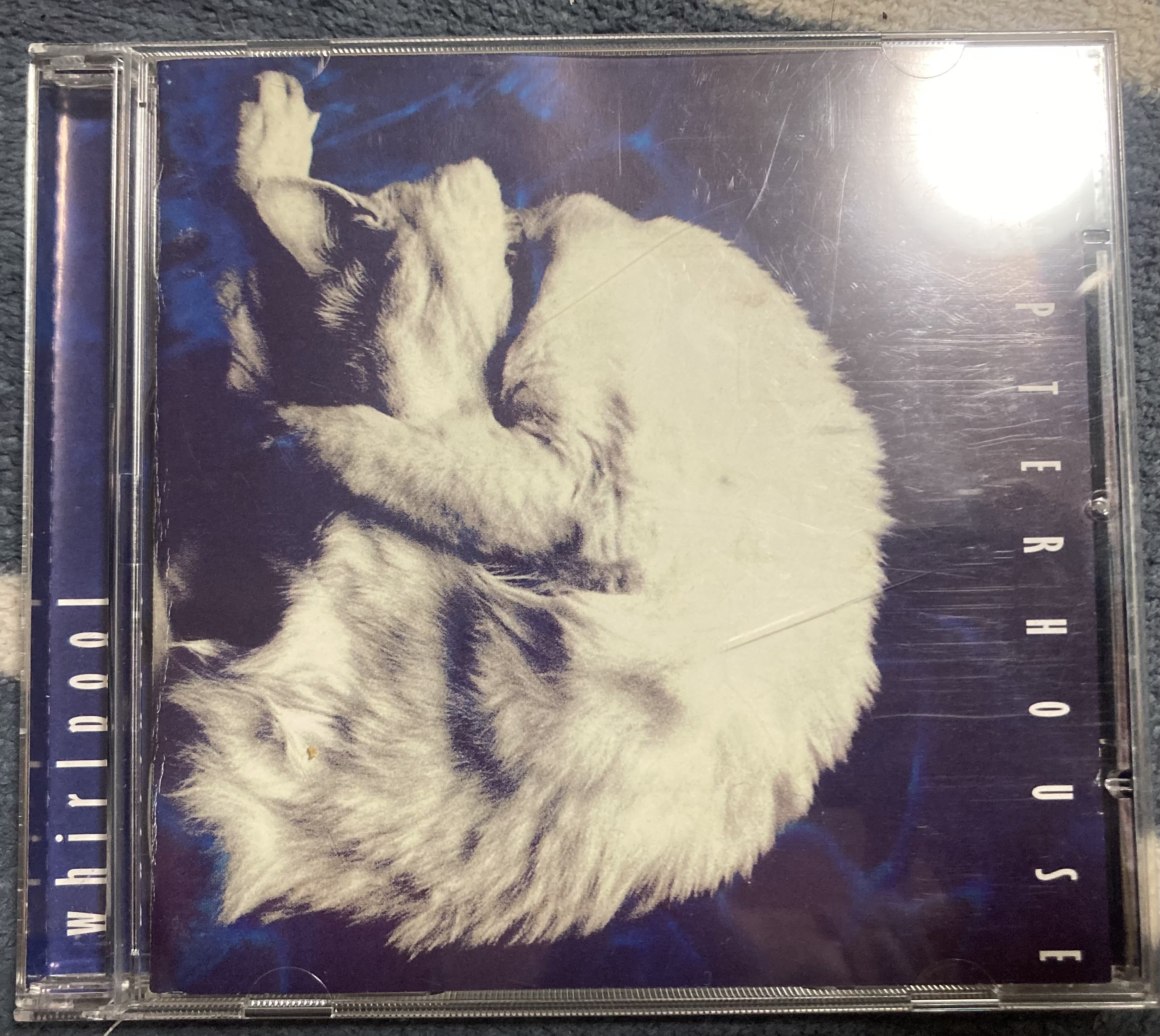 祝!再々結成! Chapterhouse アルバム＋α レビュー｜アルトラベラー