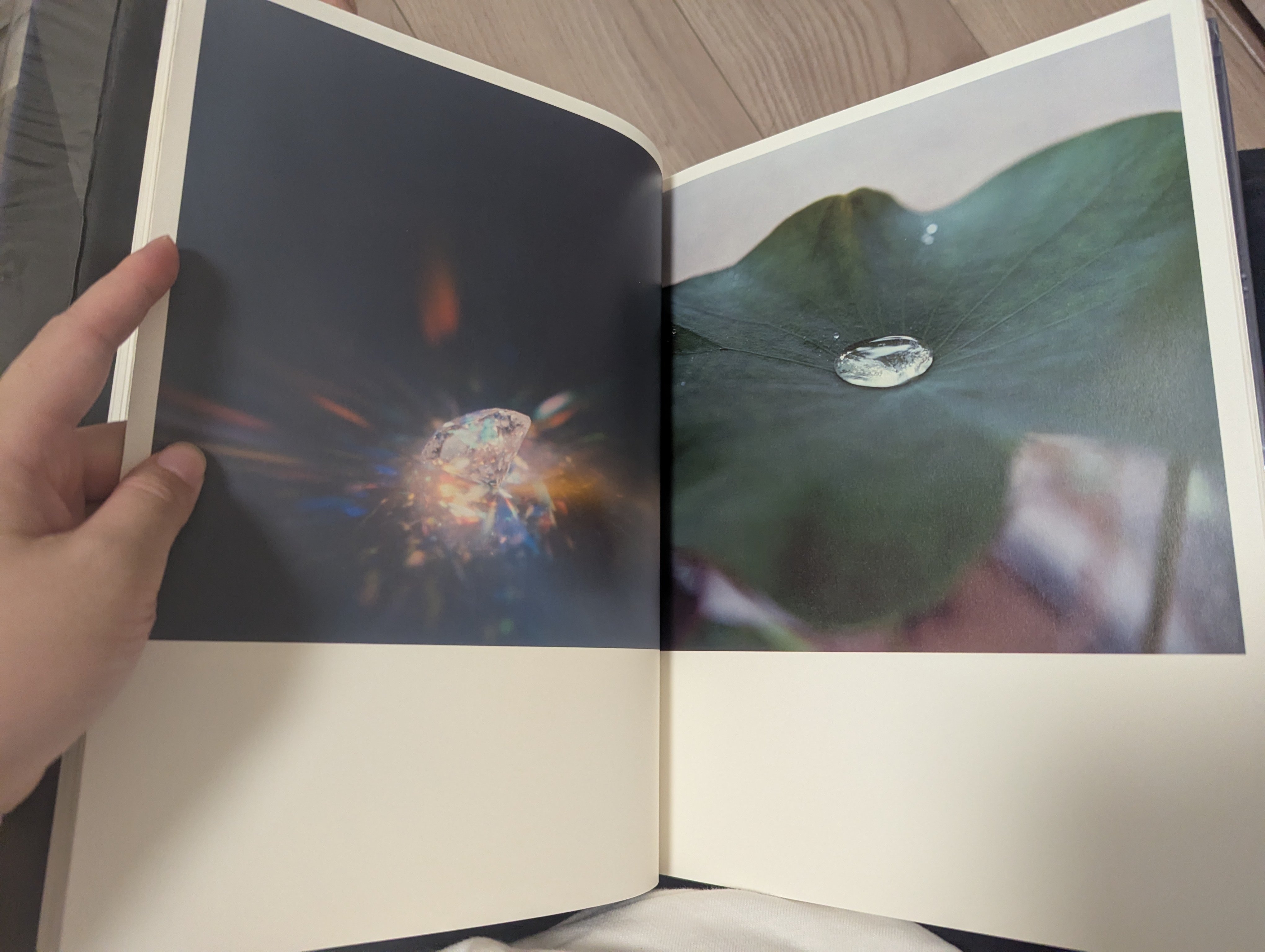 最近買ったおすすめ写真集12選｜iroha