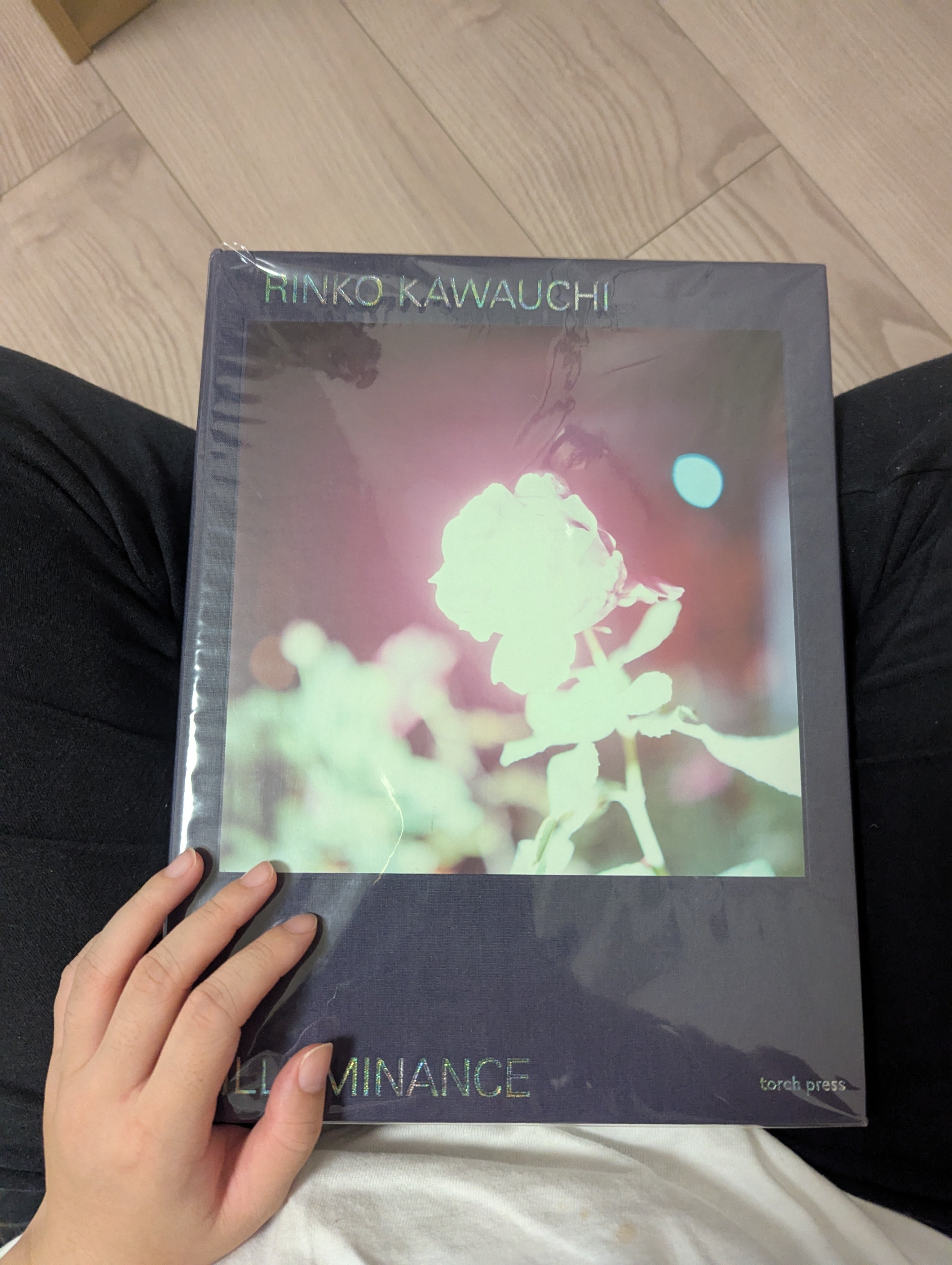 最近買ったおすすめ写真集12選｜iroha