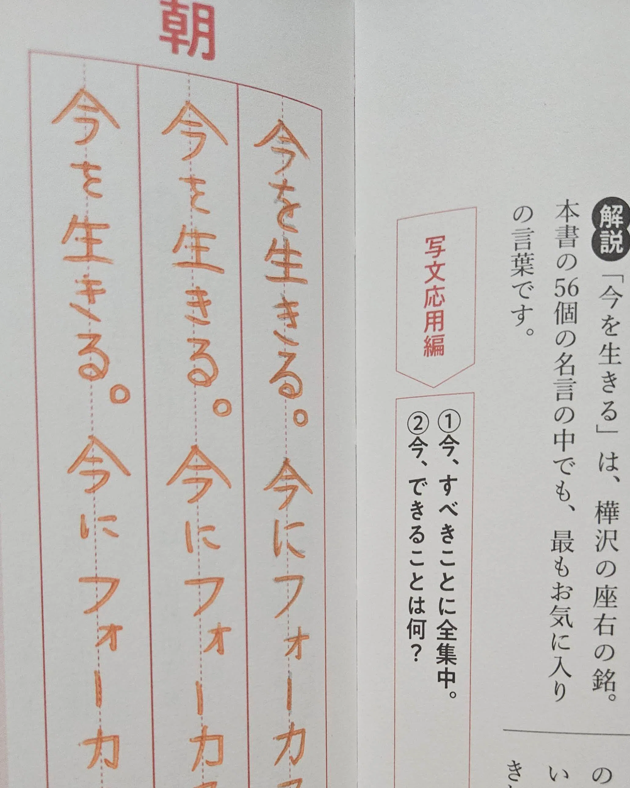 93 書き込み式写文セラピー練習帳・第2週「レジリエンス」の振り返り 93 書き込み式写文セラピー練習帳・第2週「レジリエンス」の振り返り