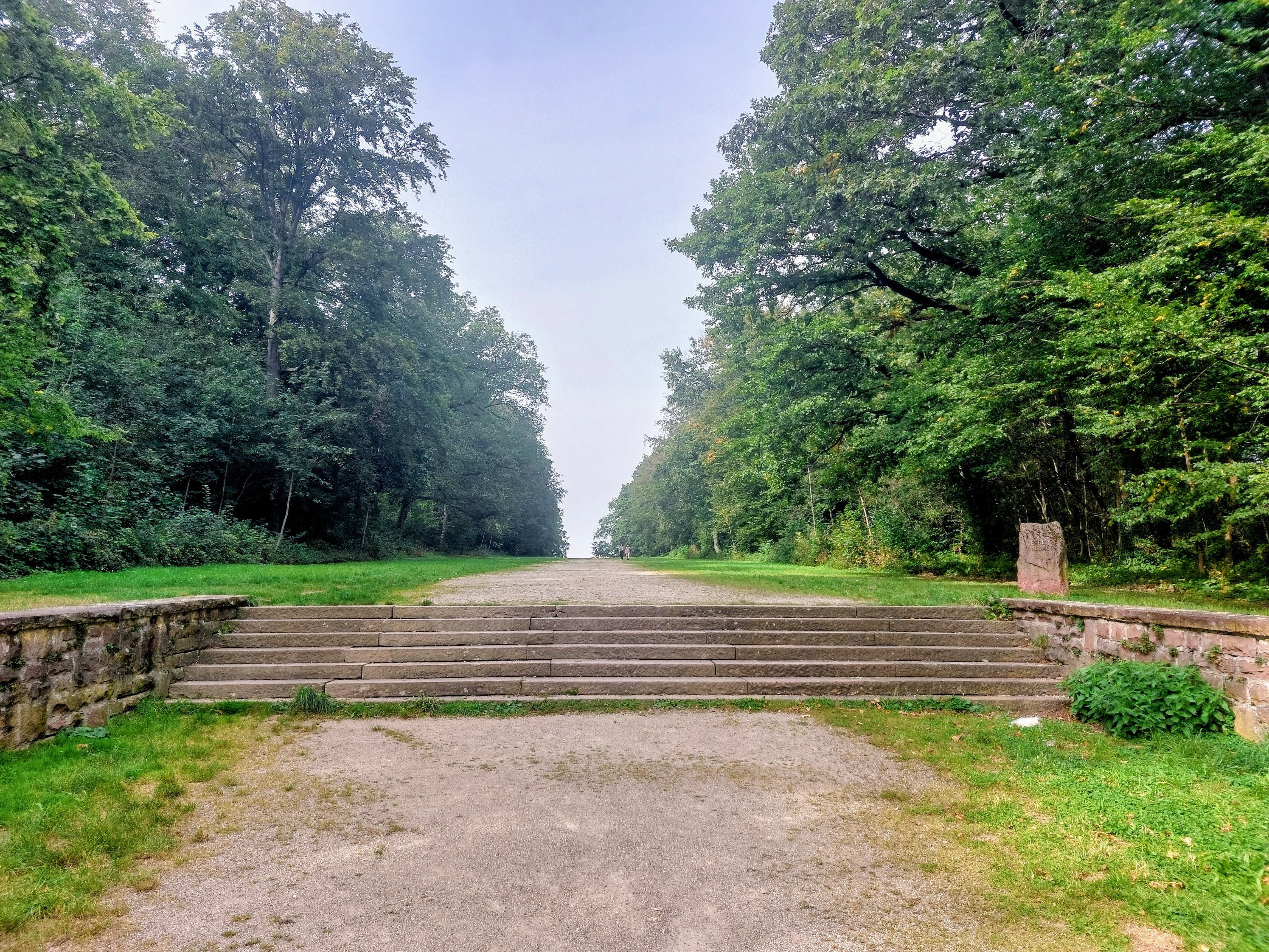 栄誉墓地」のセイヨウナラと「死の島」のイトスギ｜Pflanzenjäger