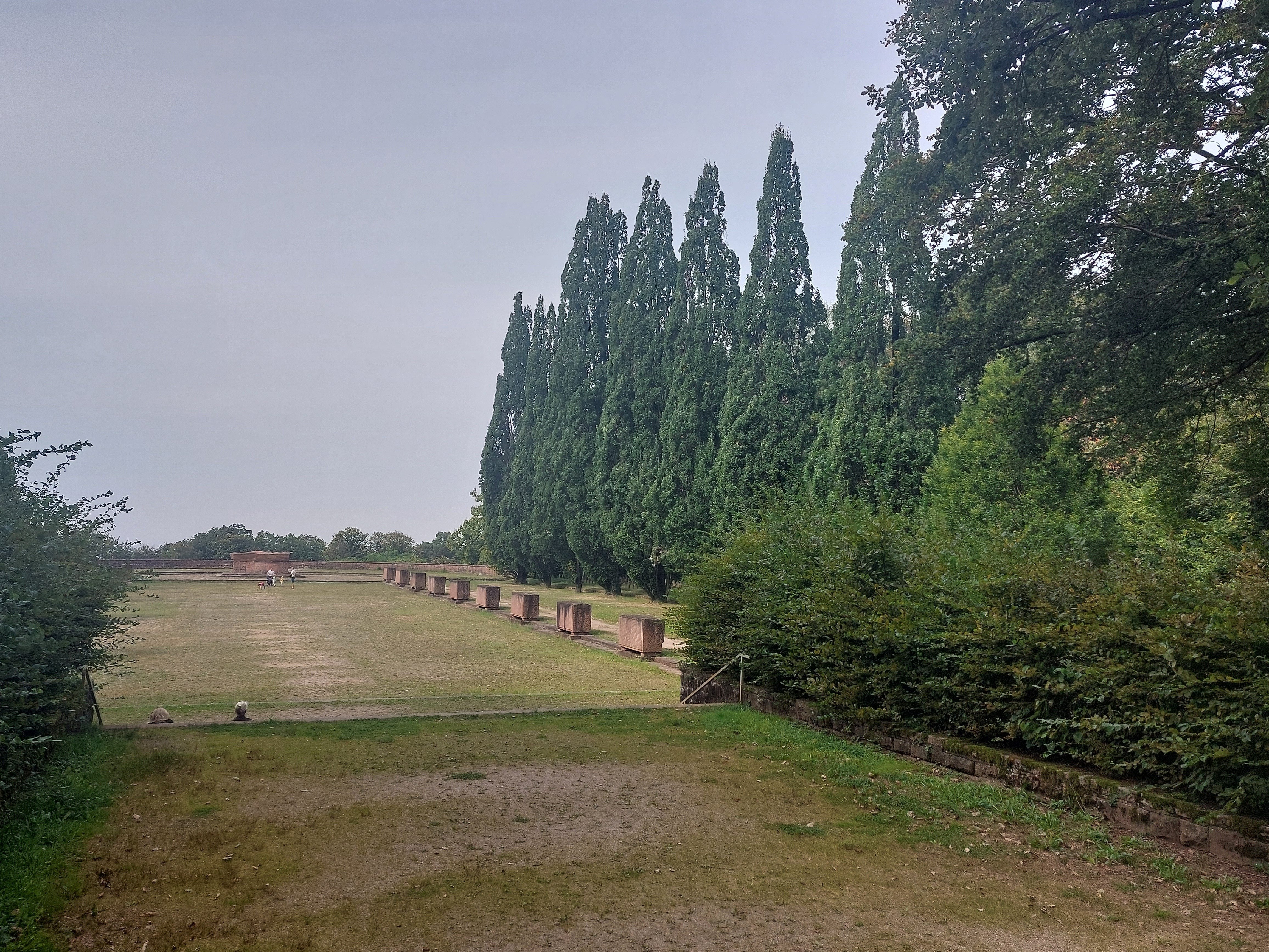 栄誉墓地」のセイヨウナラと「死の島」のイトスギ｜Pflanzenjäger