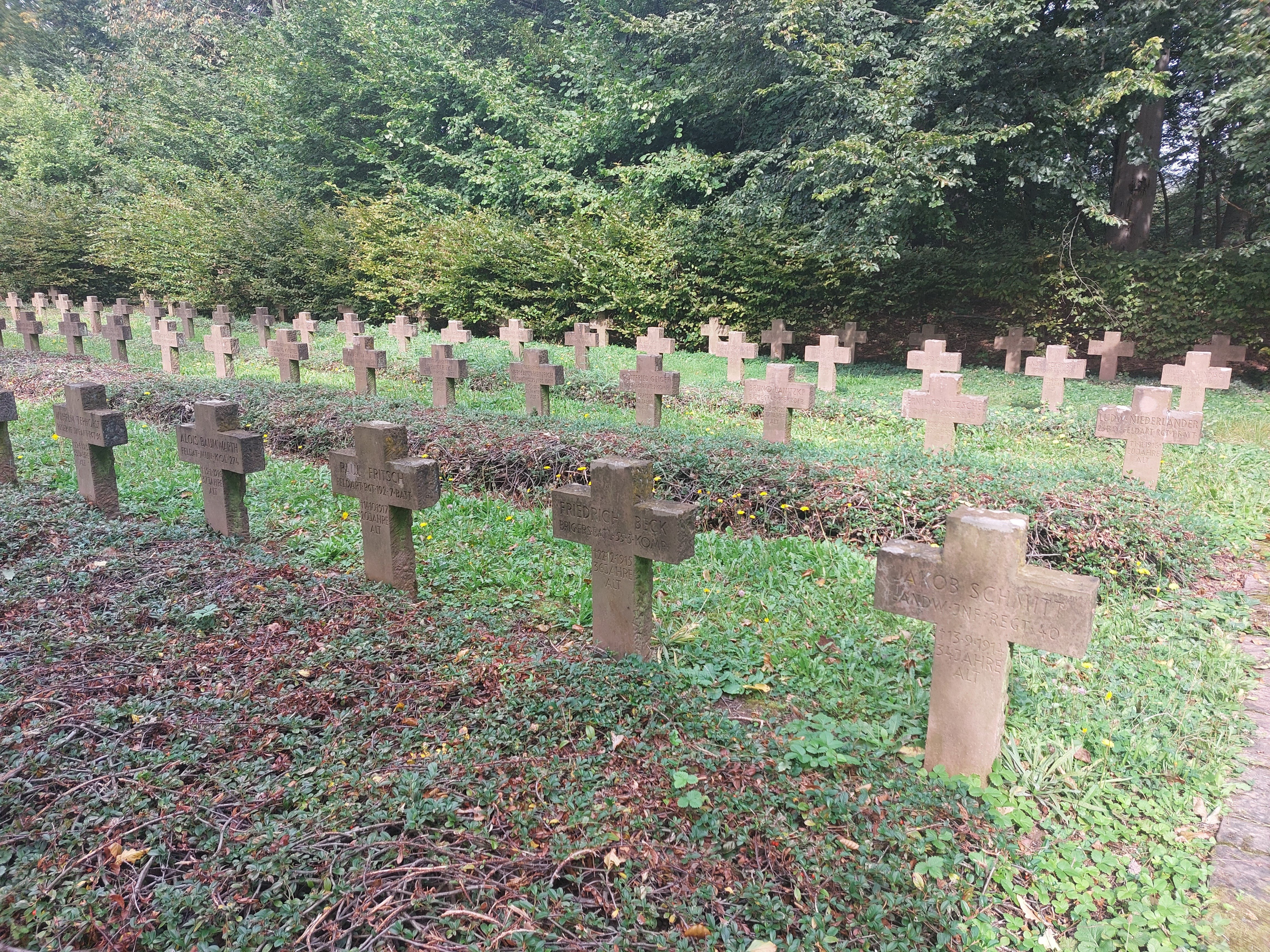 栄誉墓地」のセイヨウナラと「死の島」のイトスギ｜Pflanzenjäger