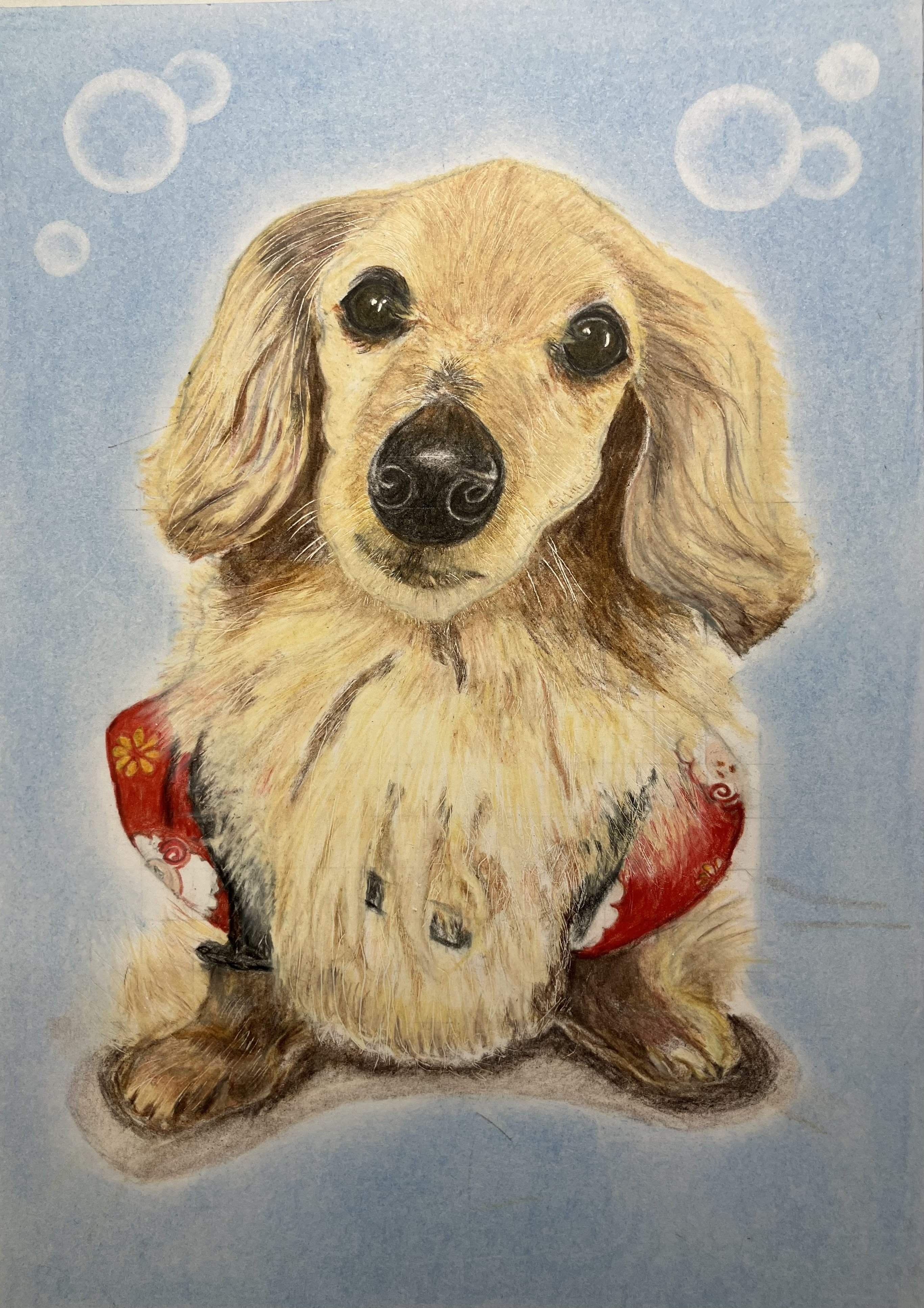 絵を描くことを選んでよかった」――愛犬への想いと、描く喜びが人生を