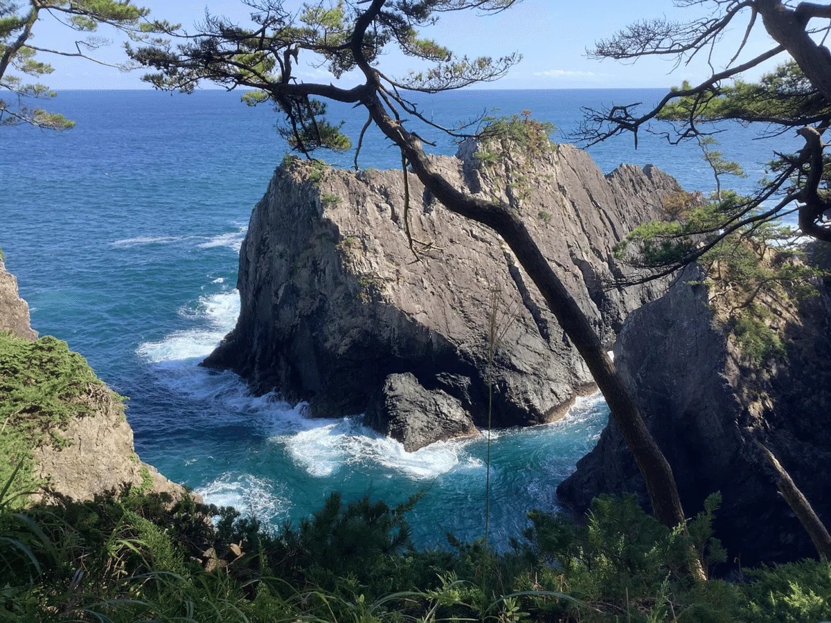 画像
