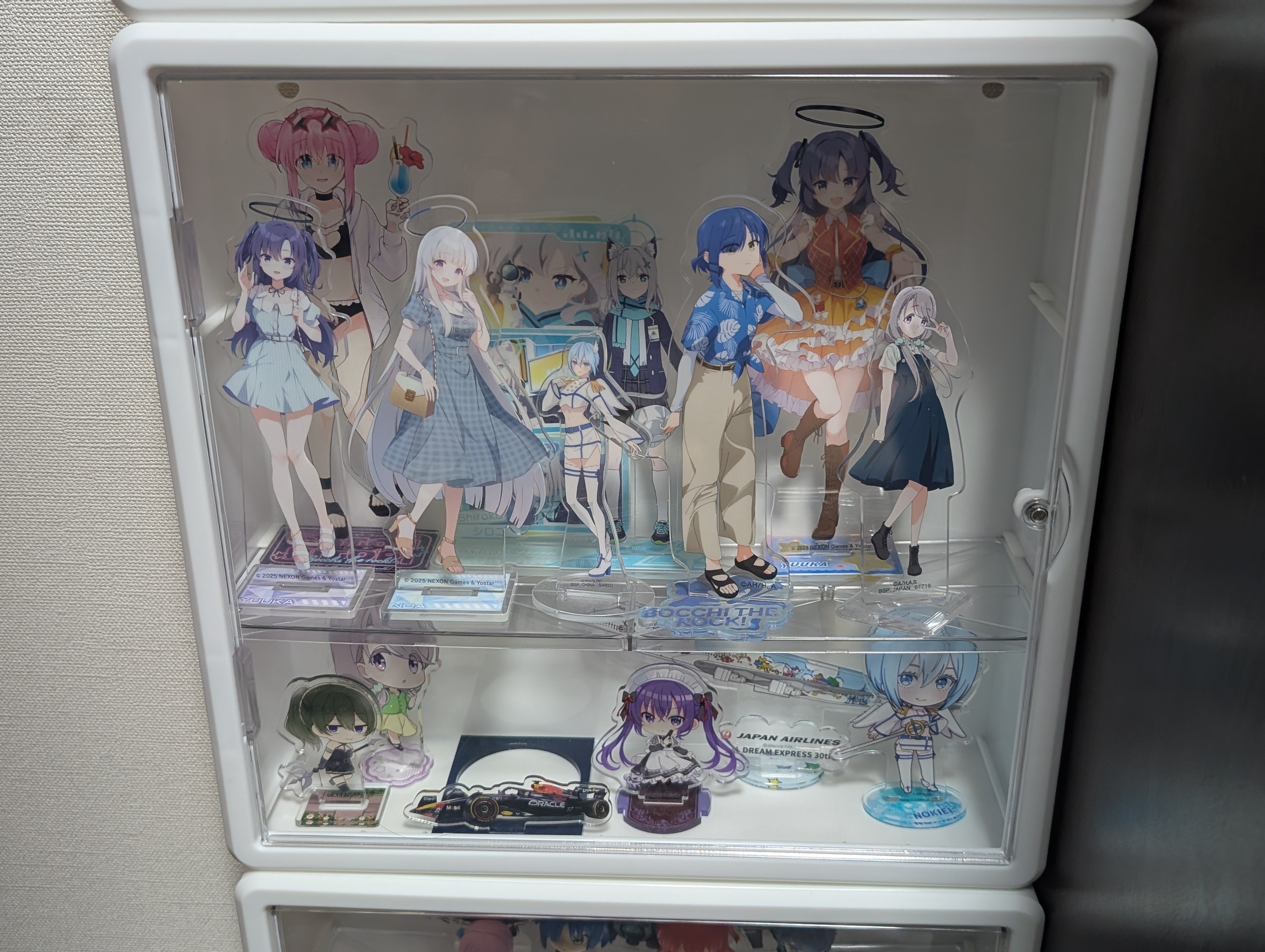 コレクションケース 八番屋 ダイソー 地球家具 ライティングガラスコレクションケース Giorno