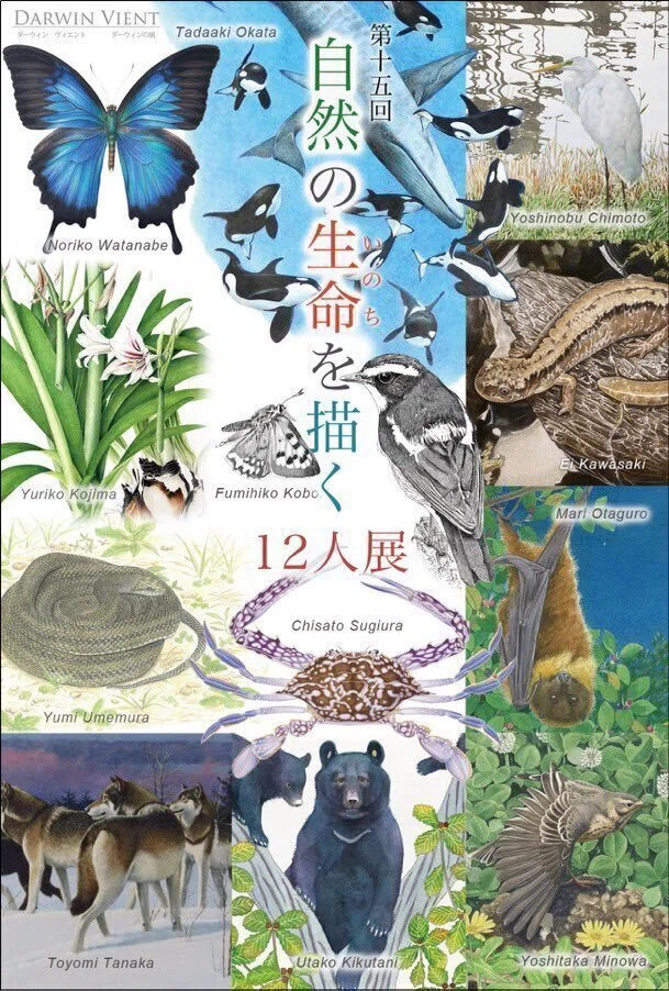 絵本セット 自然の生き物たち 15冊 第15回 自然の生命を描く12人展」が開催されます。｜川崎映