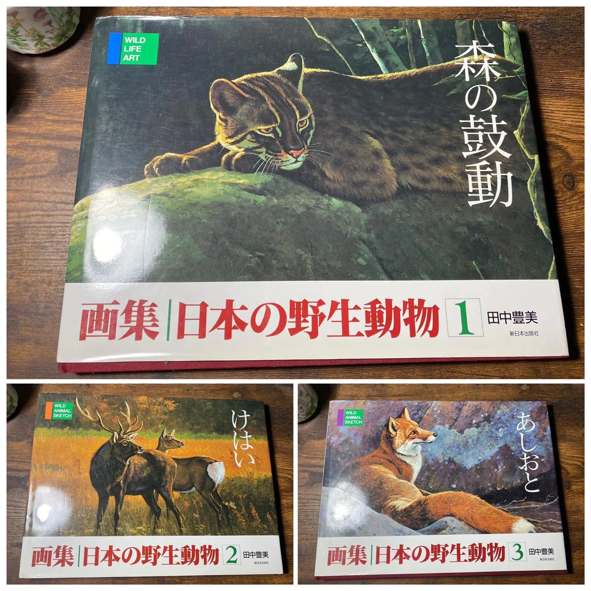 絵本セット 自然の生き物たち 15冊 第15回 自然の生命を描く12人展」が開催されます。｜川崎映