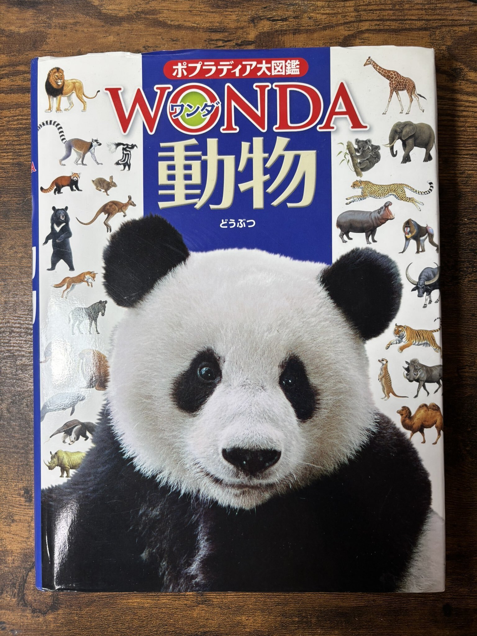 ポプラディア大図鑑WONDA ワンダ ポプラ社 全16巻 ポプラディア大図鑑WONDA ワンダ ポプラ社 全16巻 - メルカリ