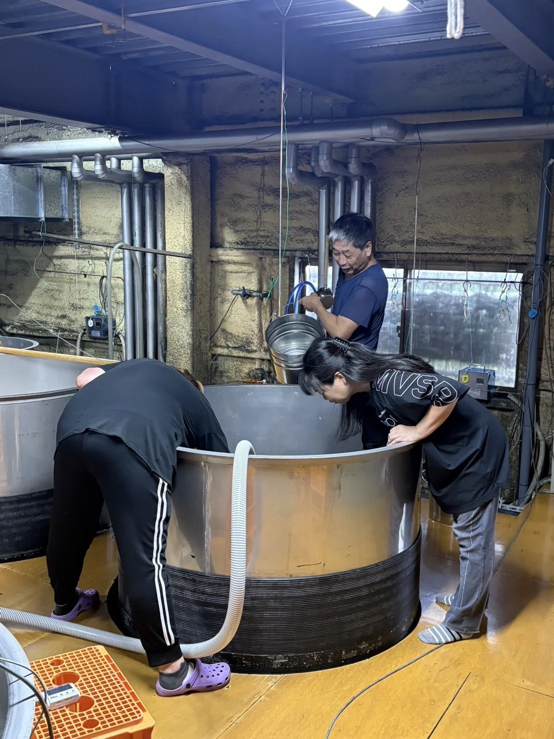 蔵語り紡ぐ ～IN岩倉酒造場～｜焼酎家はしぐち