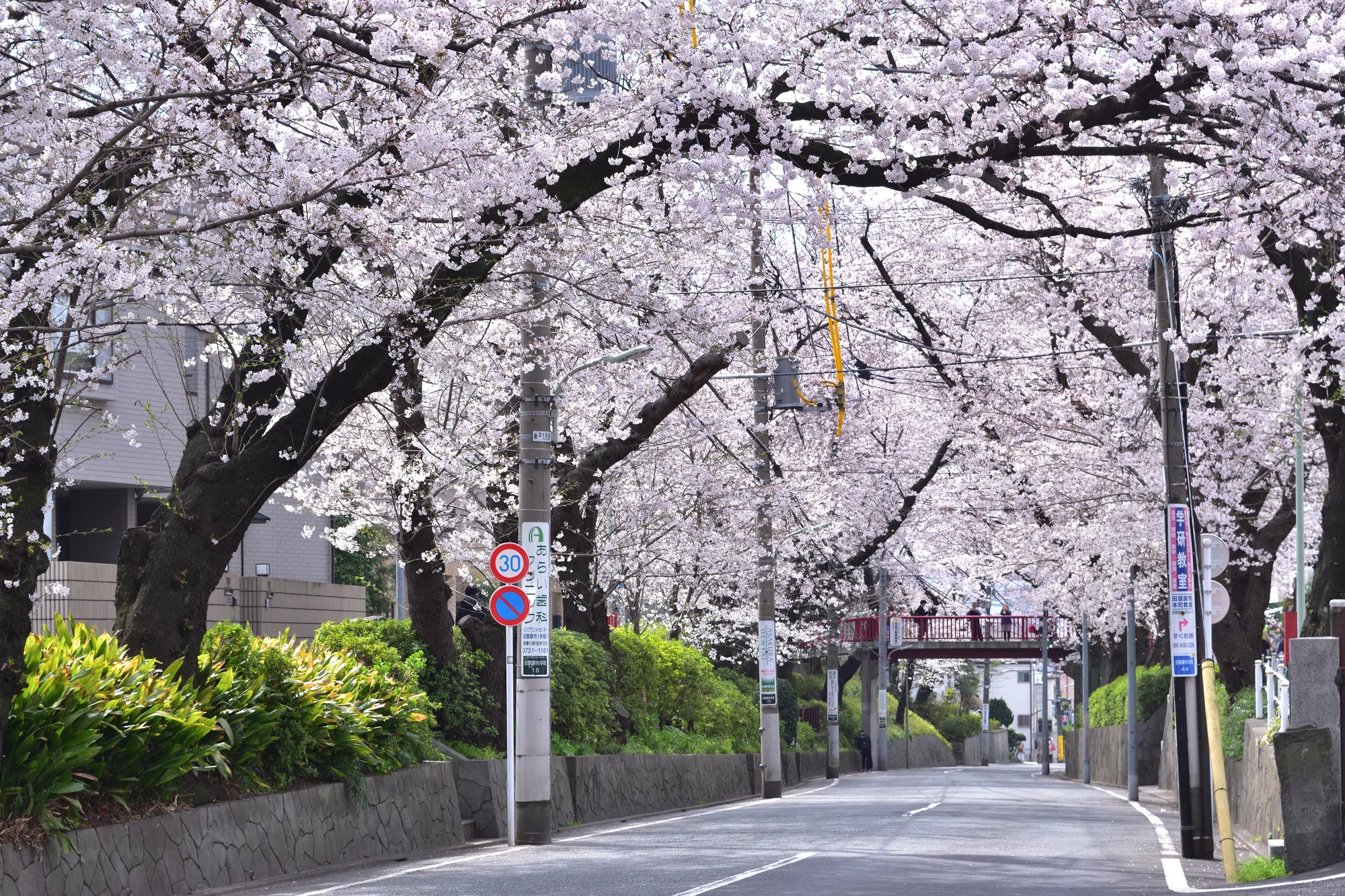 Den-en Chofu Futaba Elementary School Attached Kindergarten: Parent ...