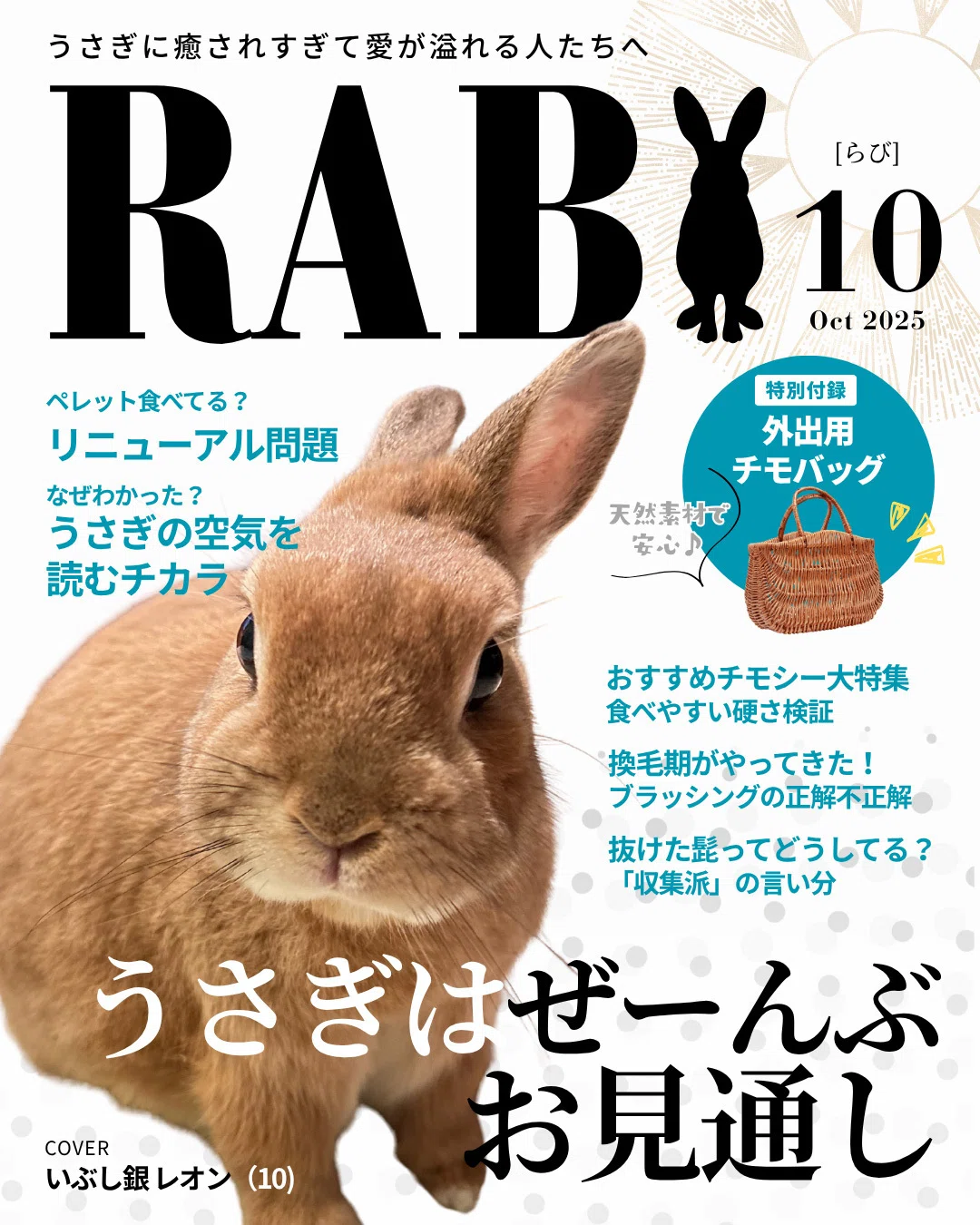 コミックエッセイ【うさのまにまに】70 うさぎは聴いている｜ちもなお