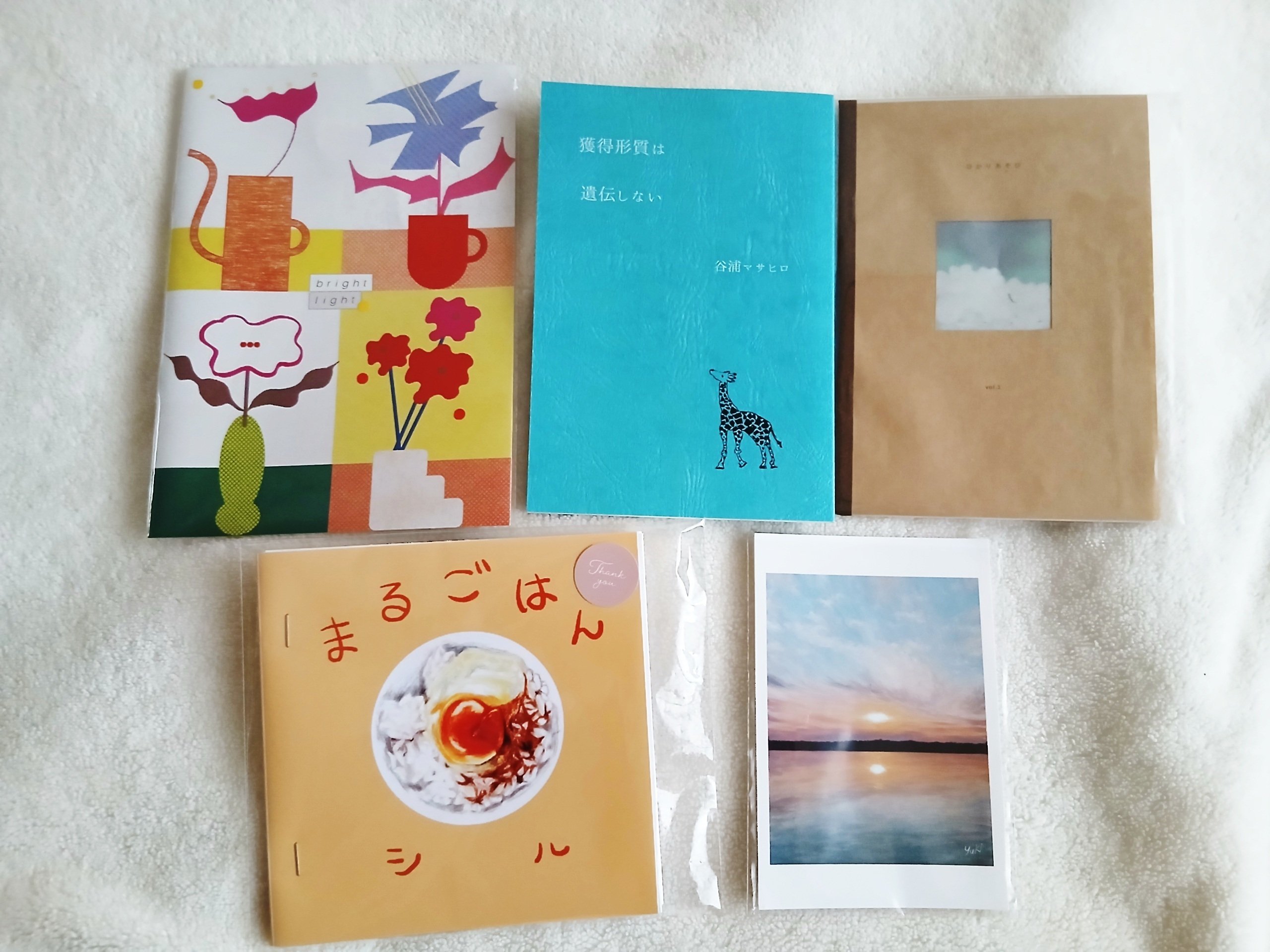 ZINEフェス東京]購入品と感想｜百崎万理/東京個展
