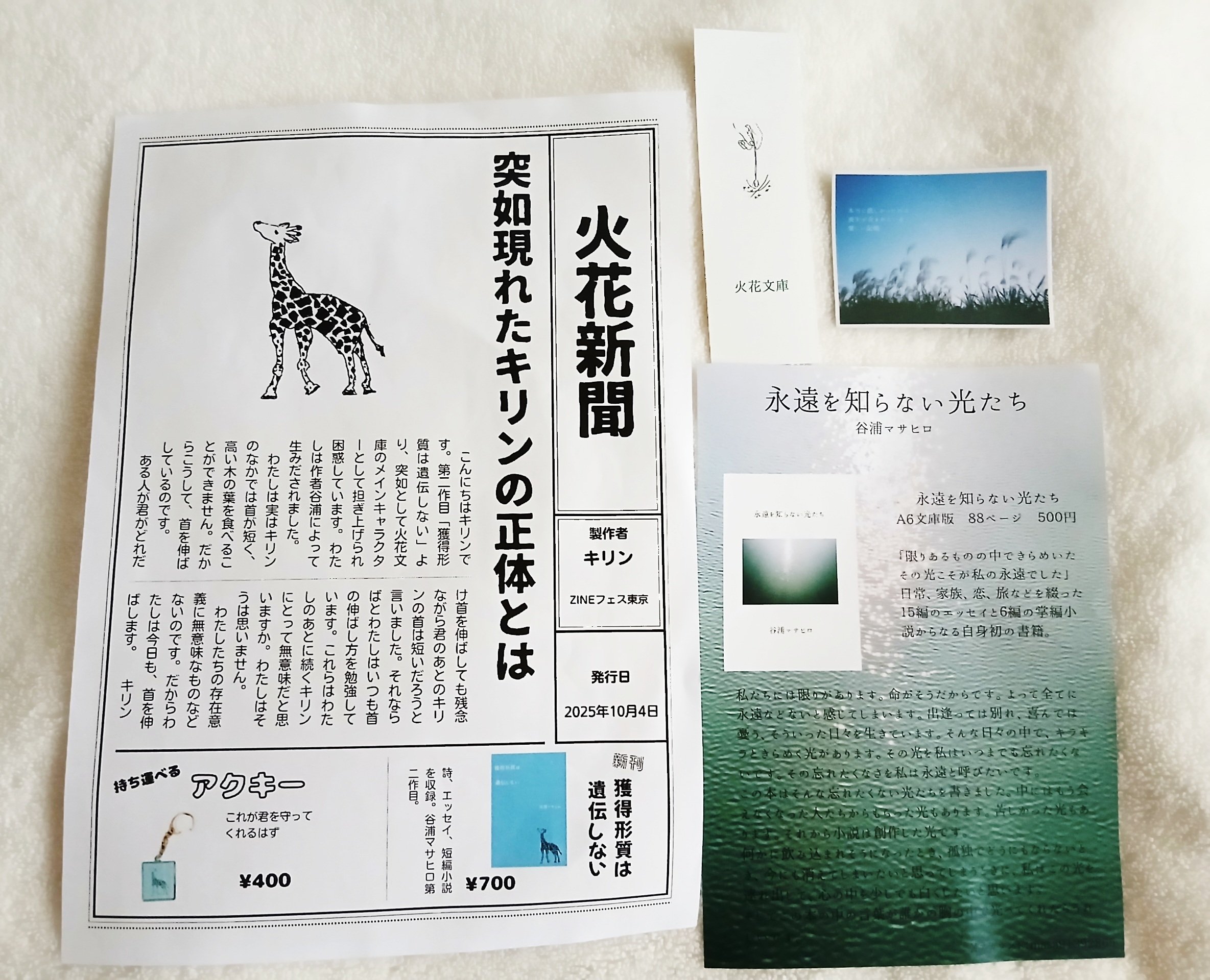 ZINEフェス東京]購入品と感想｜百崎万理/東京個展