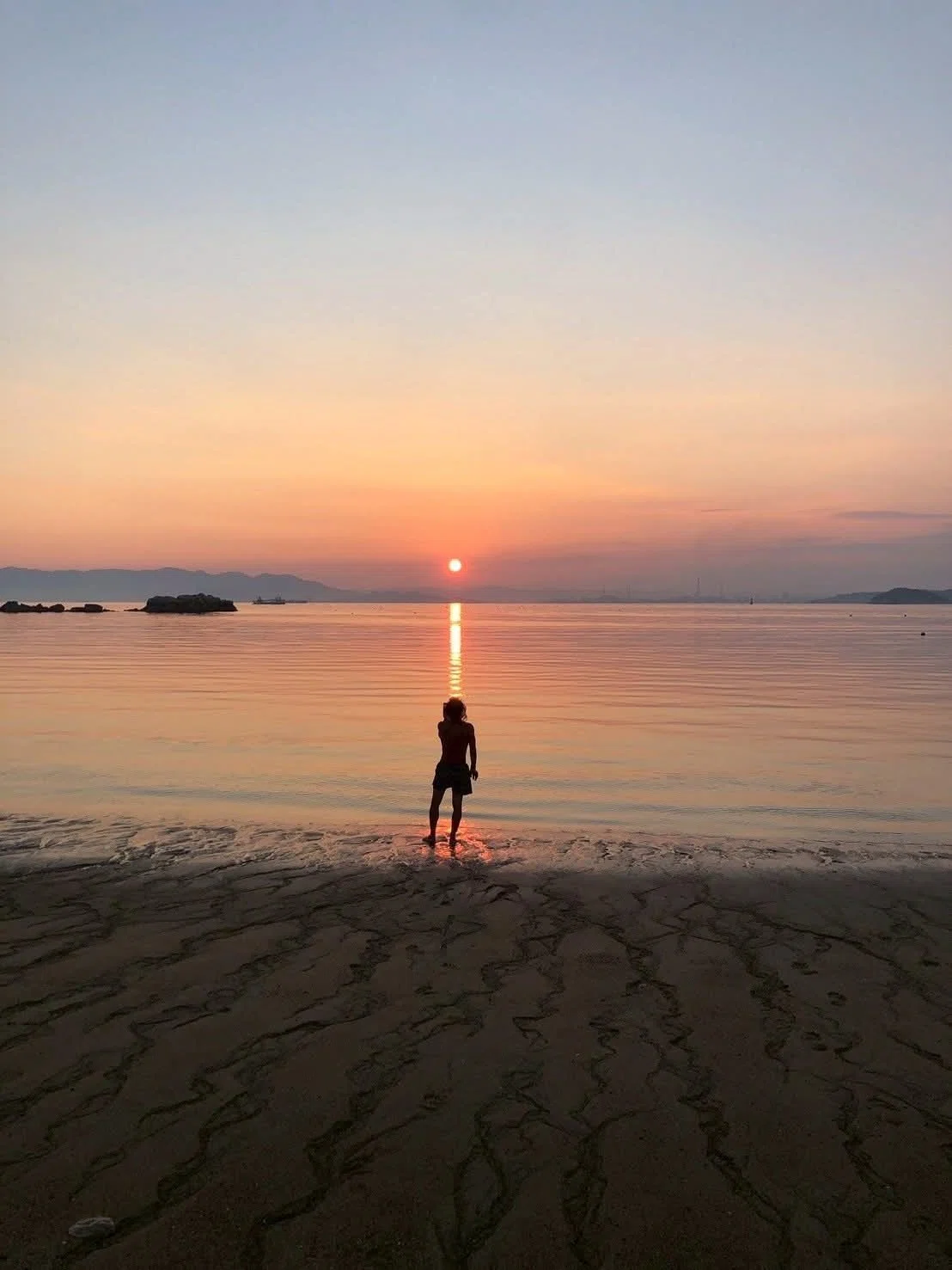 🌊たいがさんがやってきた！〜丸木舟で海を渡ったメガネの青年の凱旋