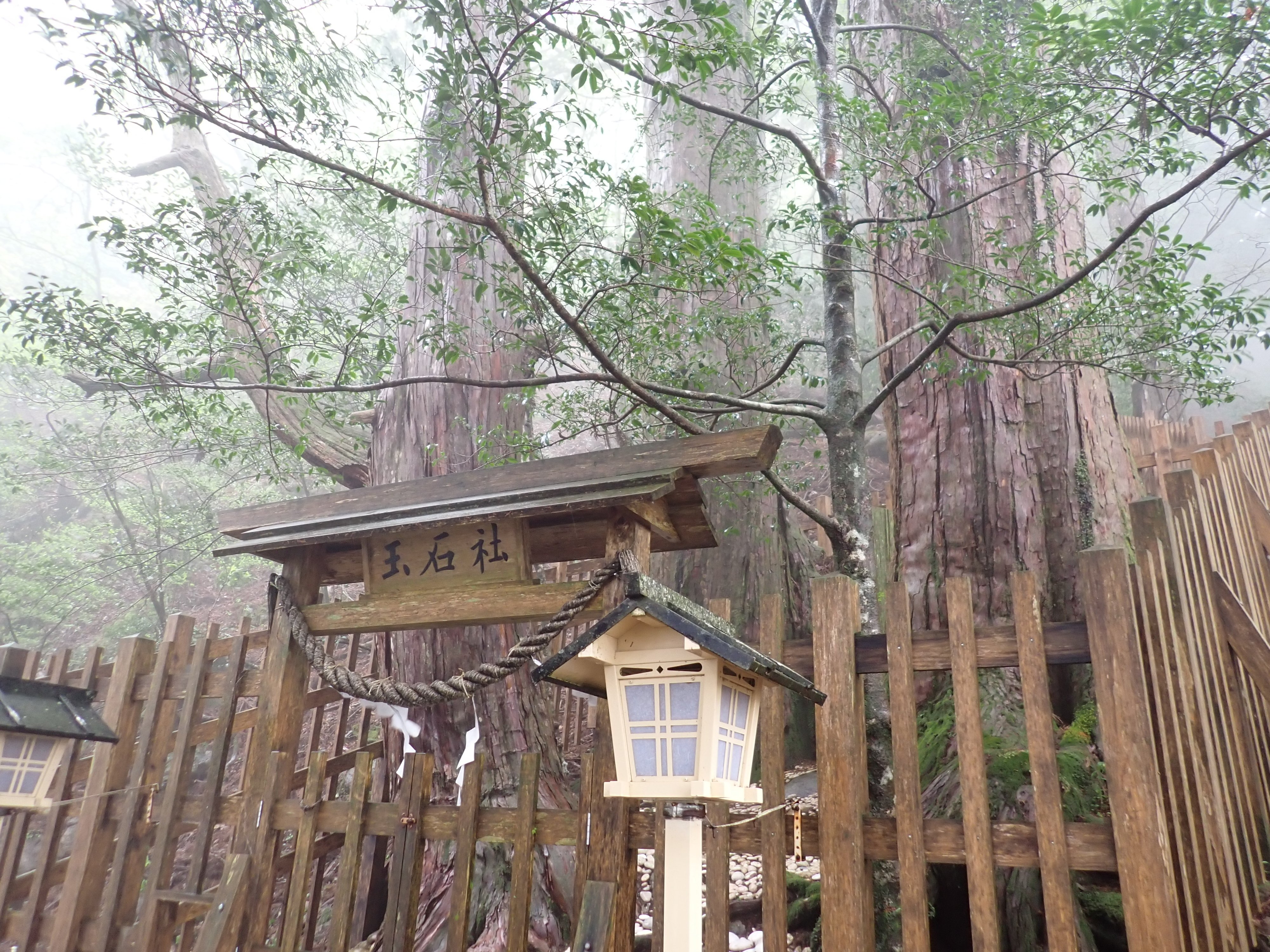 玉置神社〜玉石社〜｜うに