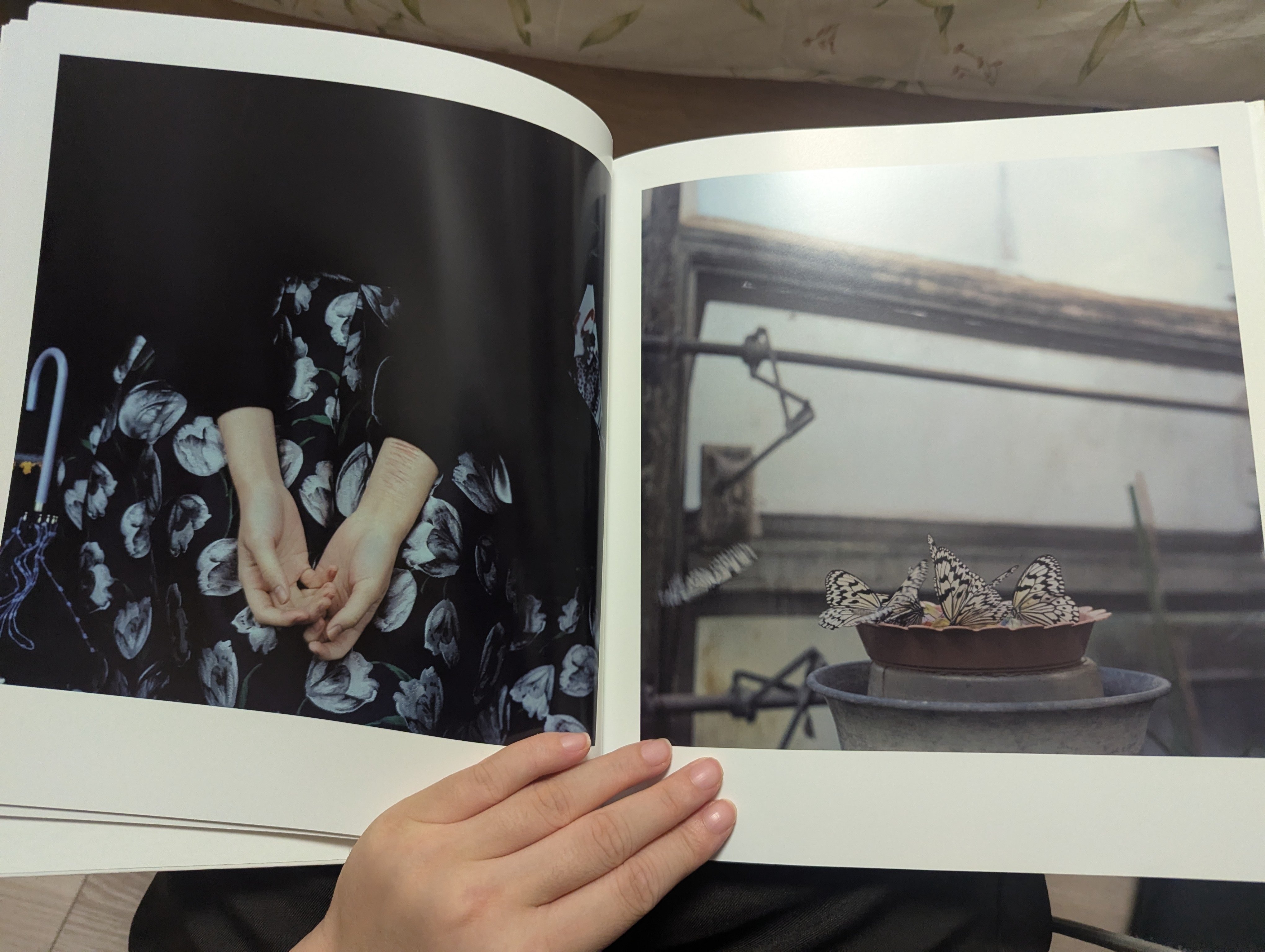 最近買ったおすすめ写真集12選｜iroha