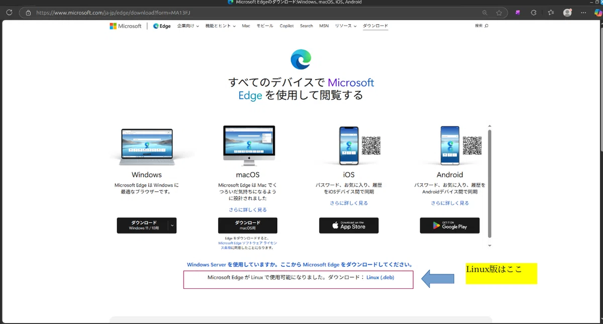 Linux Mint with your usual browser｜だもんで